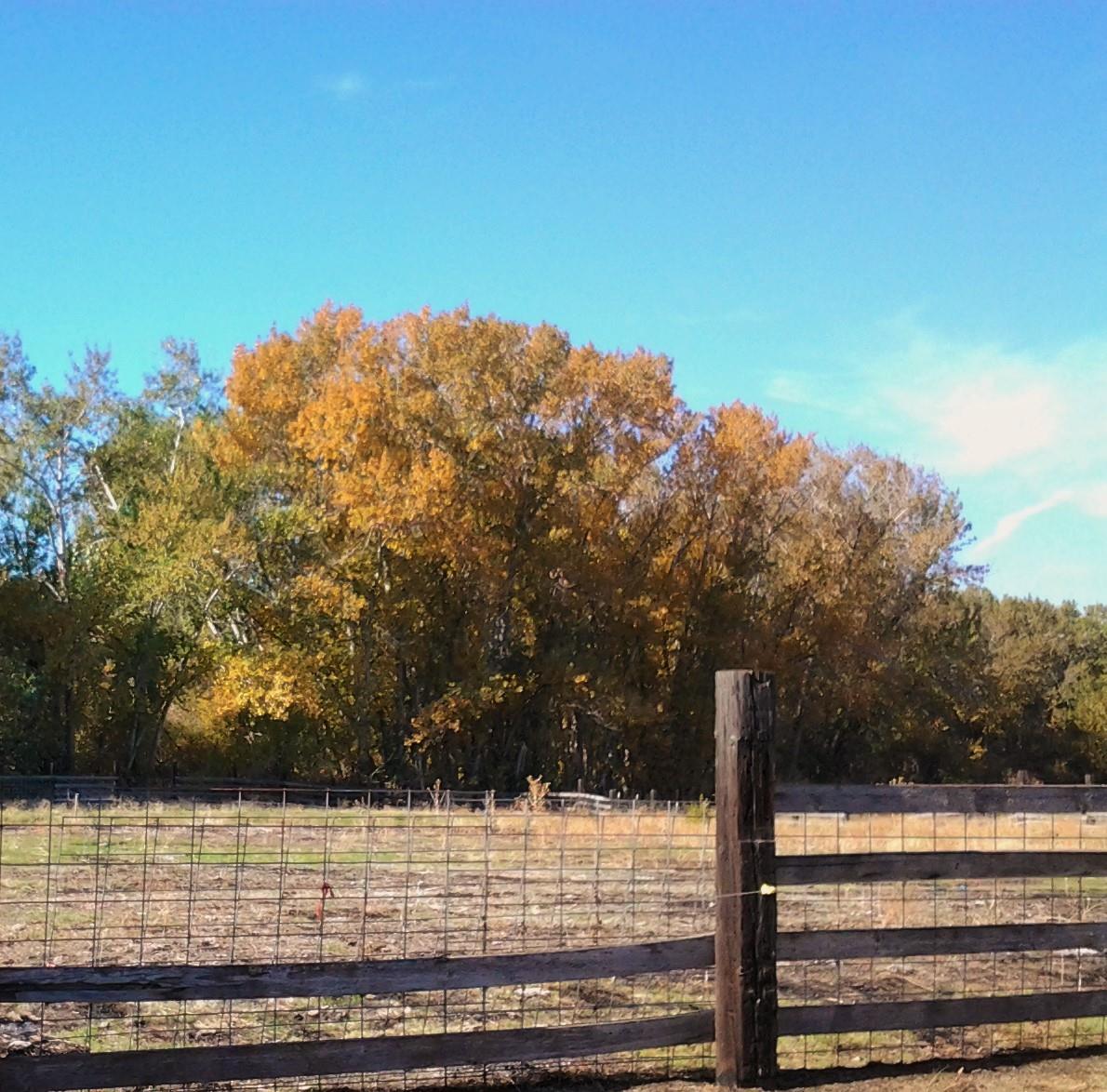 Echo River Farms