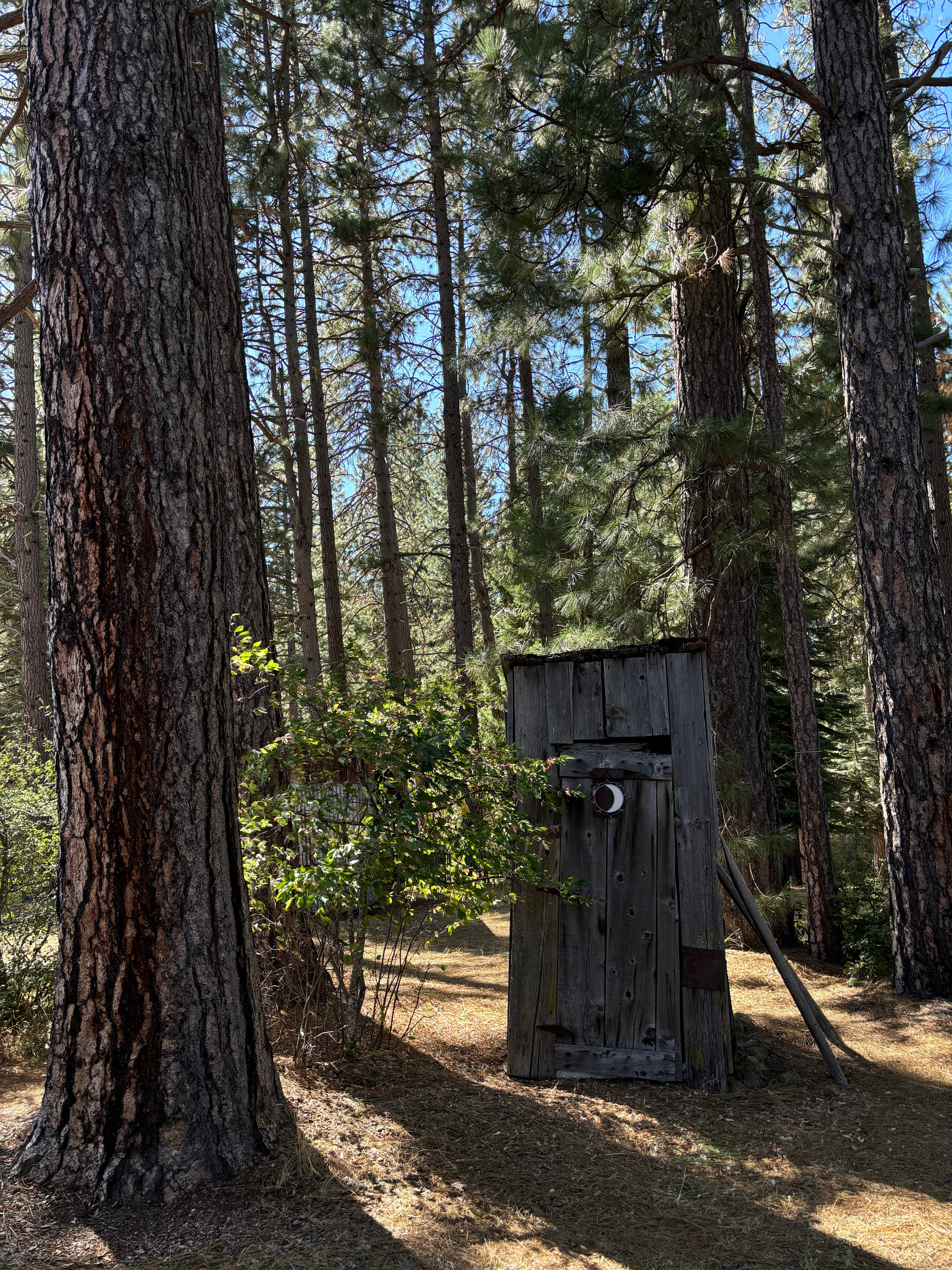The outhouse! Just like in the old days. :)