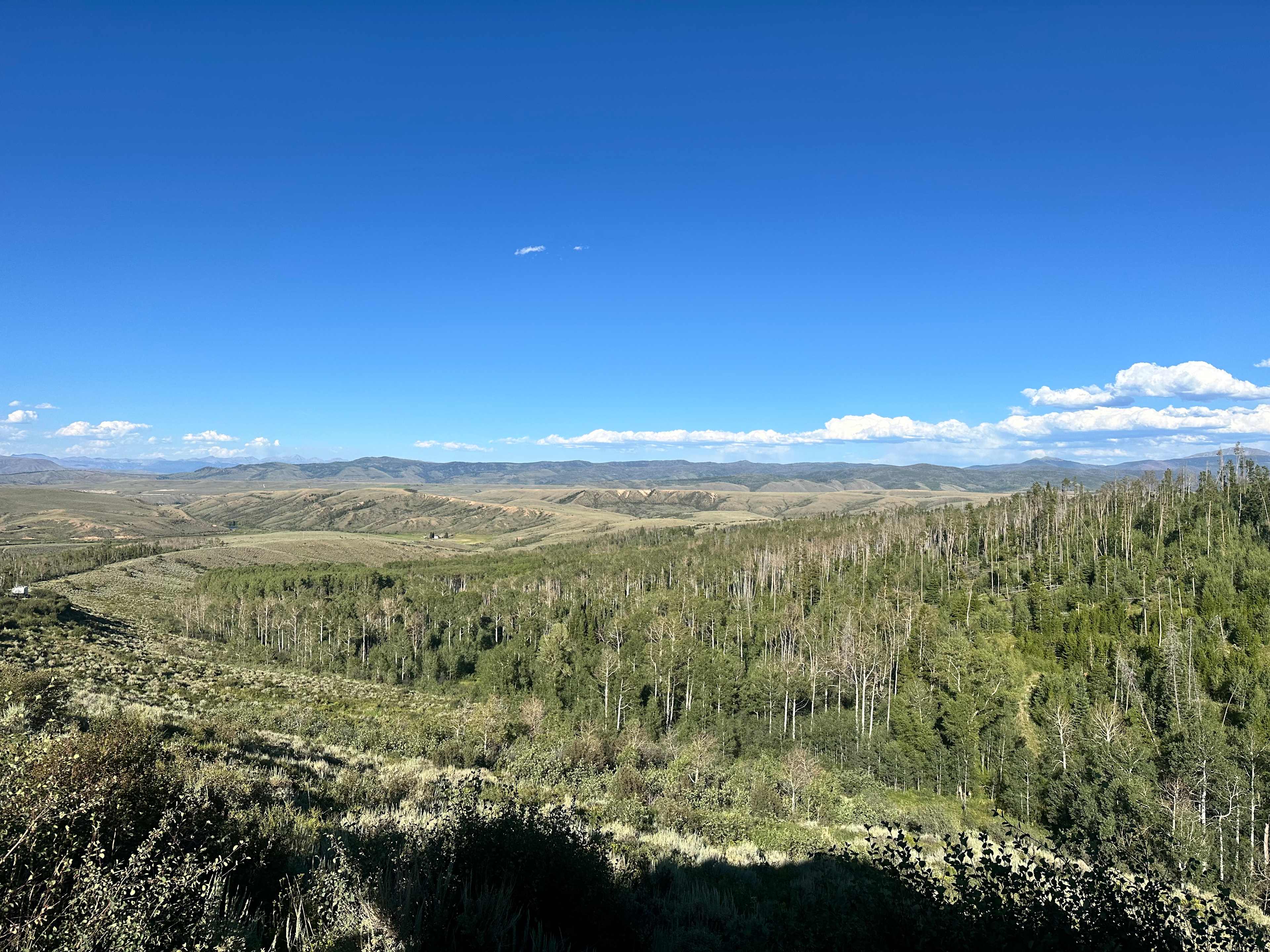 Williams Fork Lodging