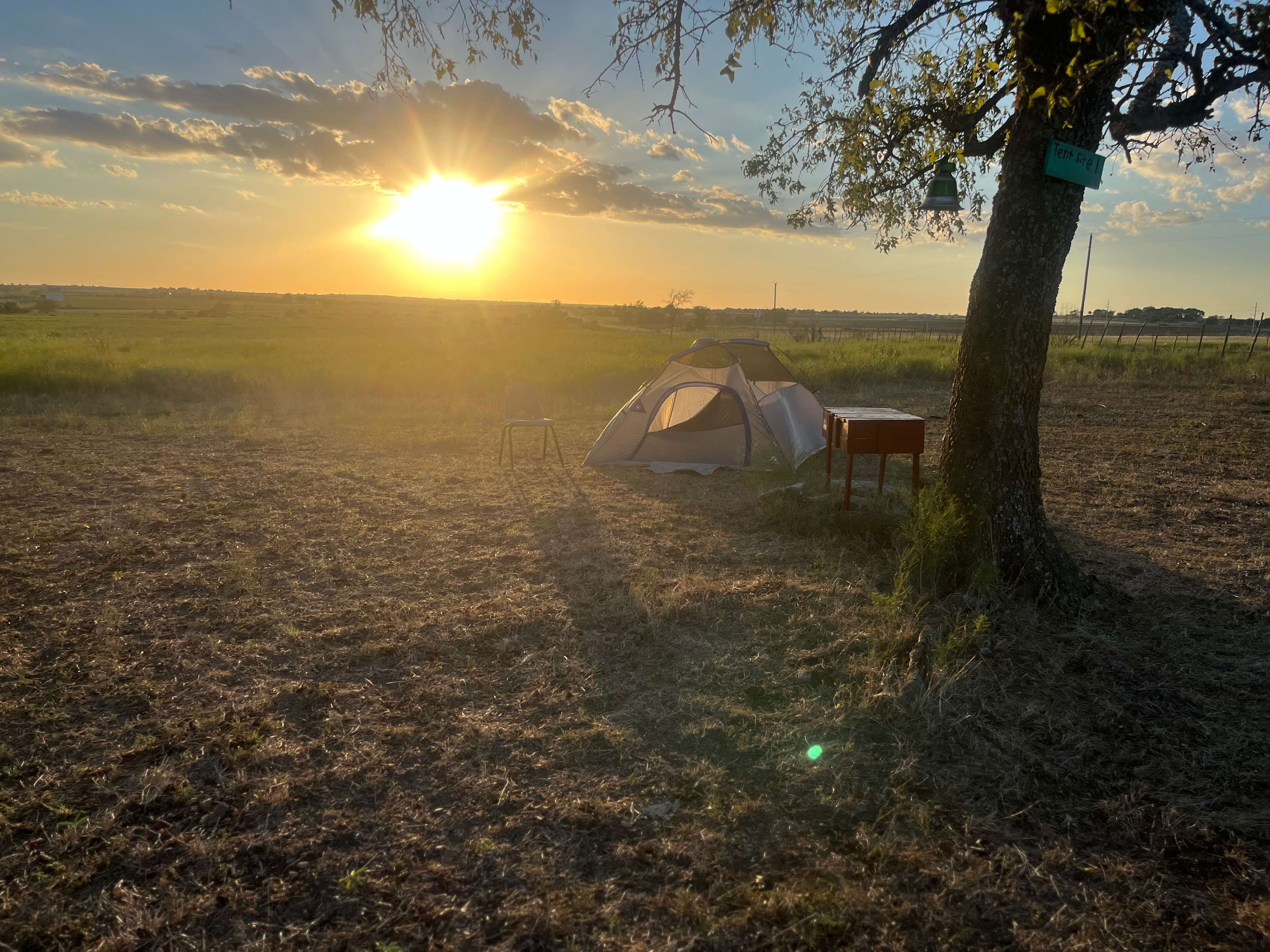 Picture of the site