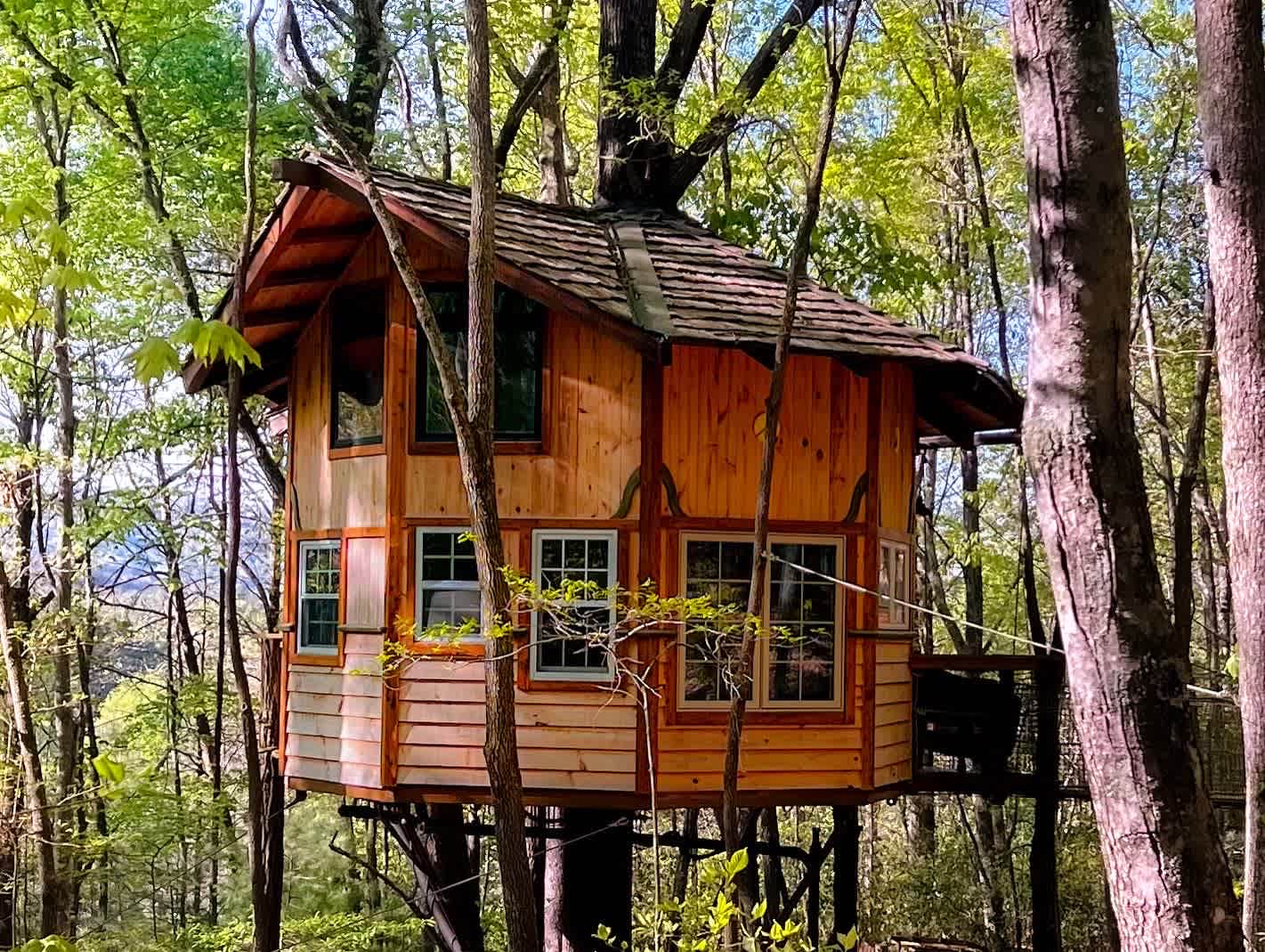 Magical Treehouse Mountain Getaway