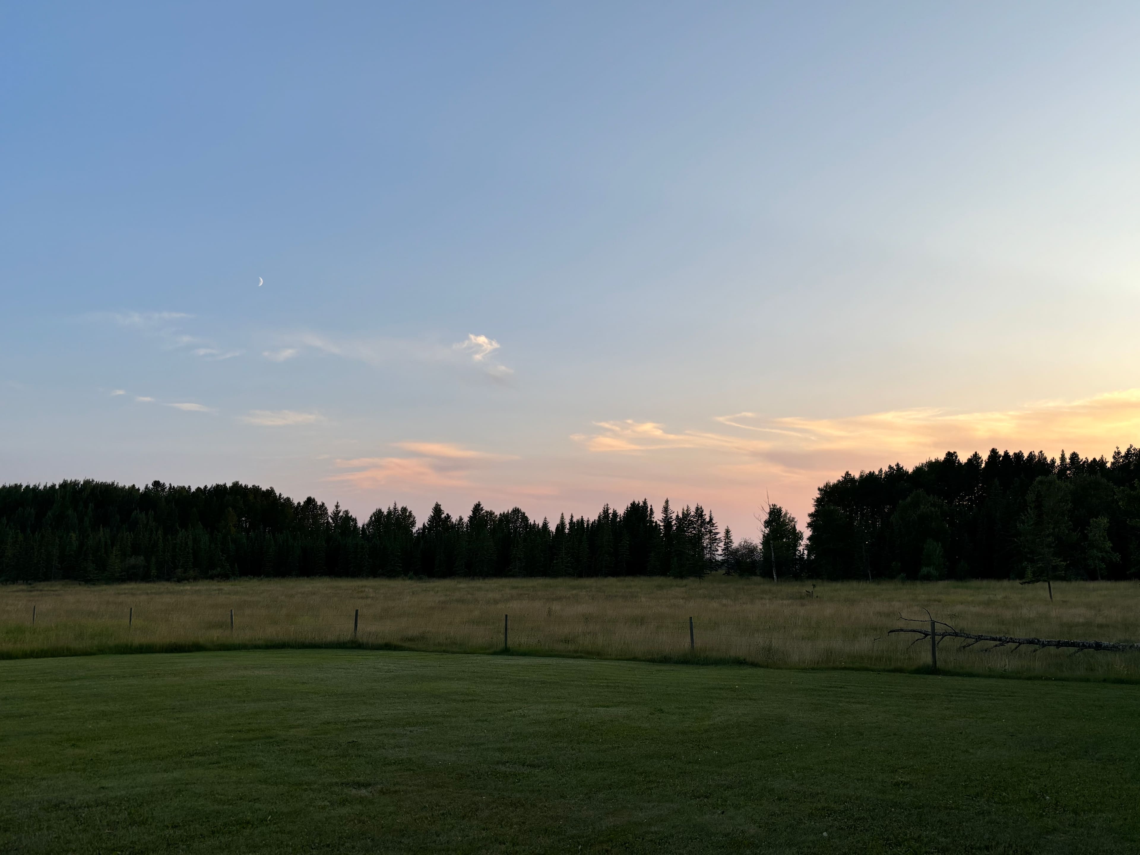 The Music Shop In The Country Camp