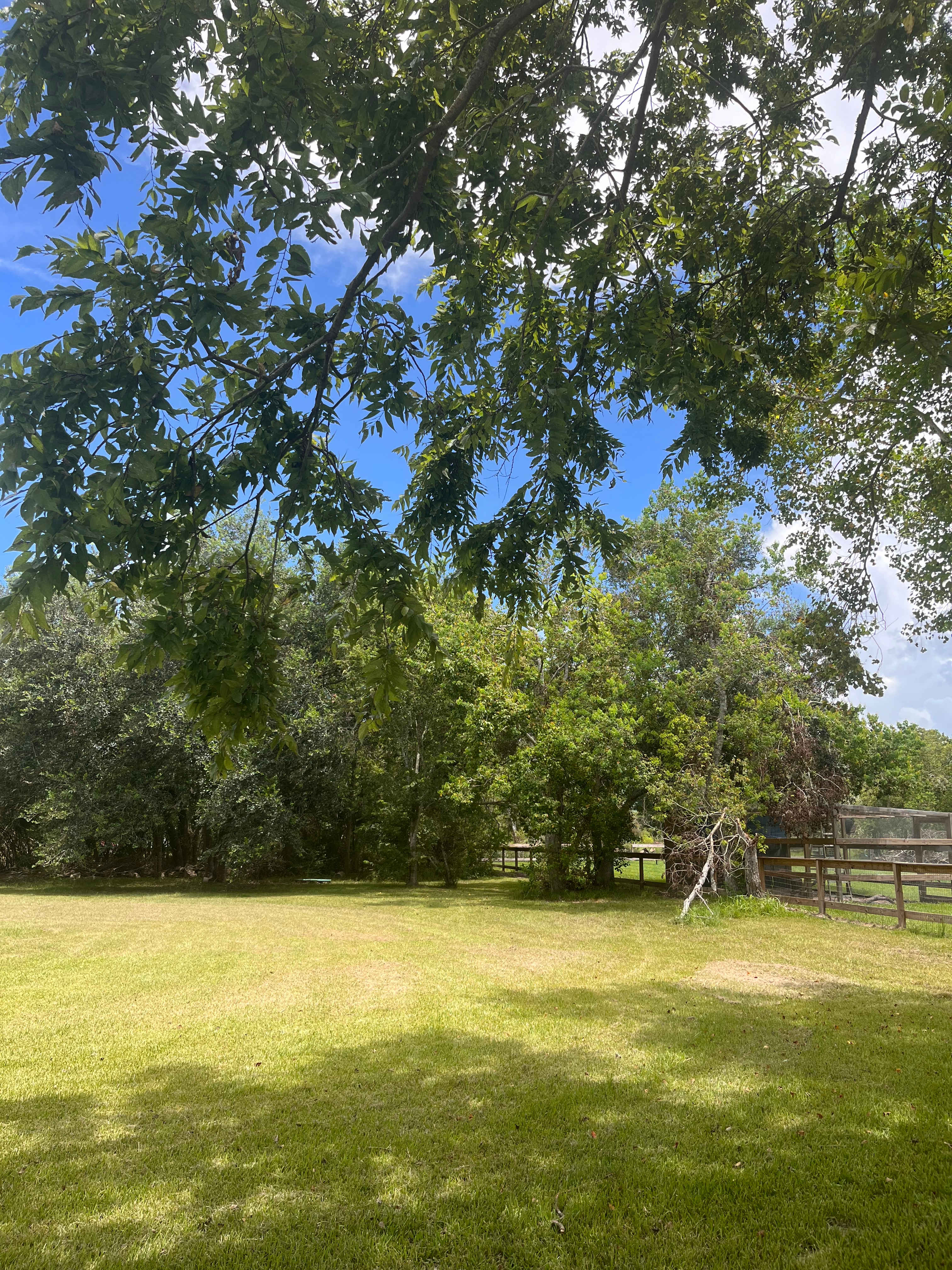 The Crepe Myrtle Woodsy Stay