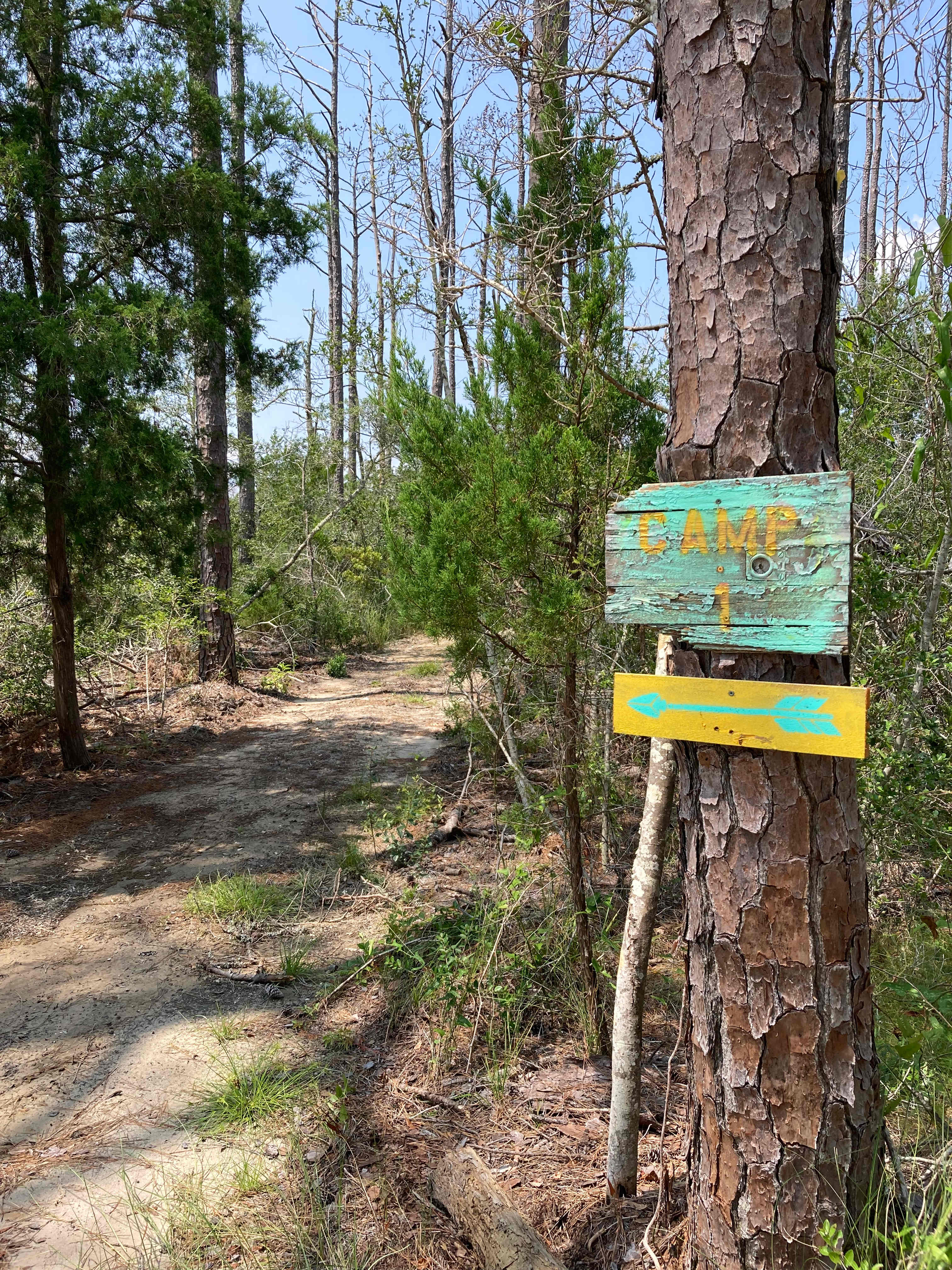 Crockett Landing