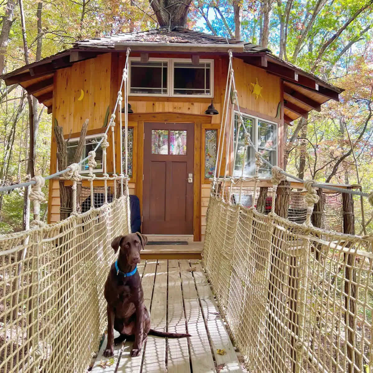 Magical Treehouse Mountain Getaway