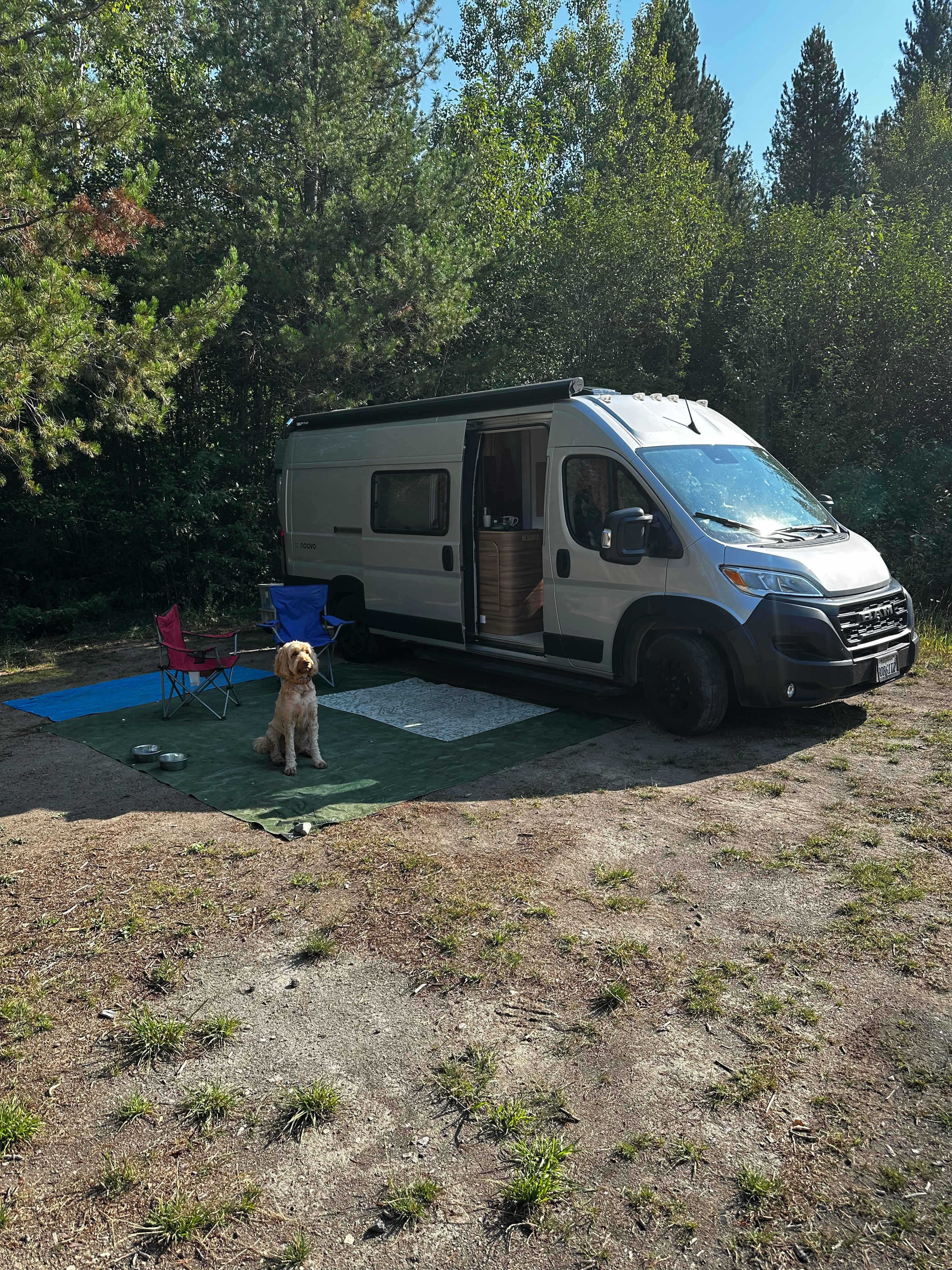 Picture of the site
