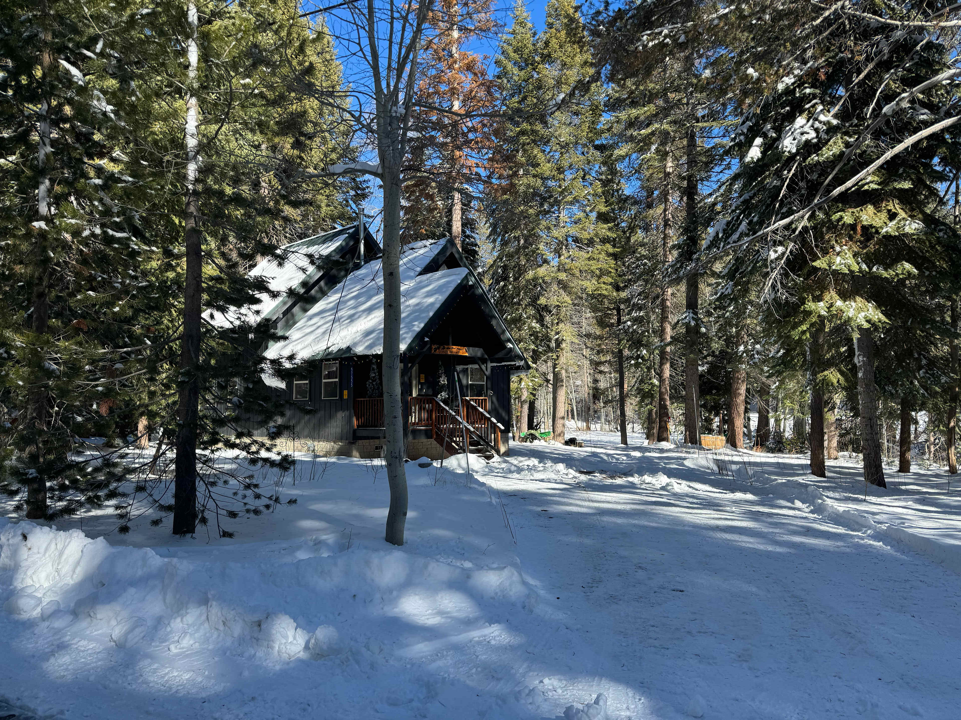 Cabin Grimm