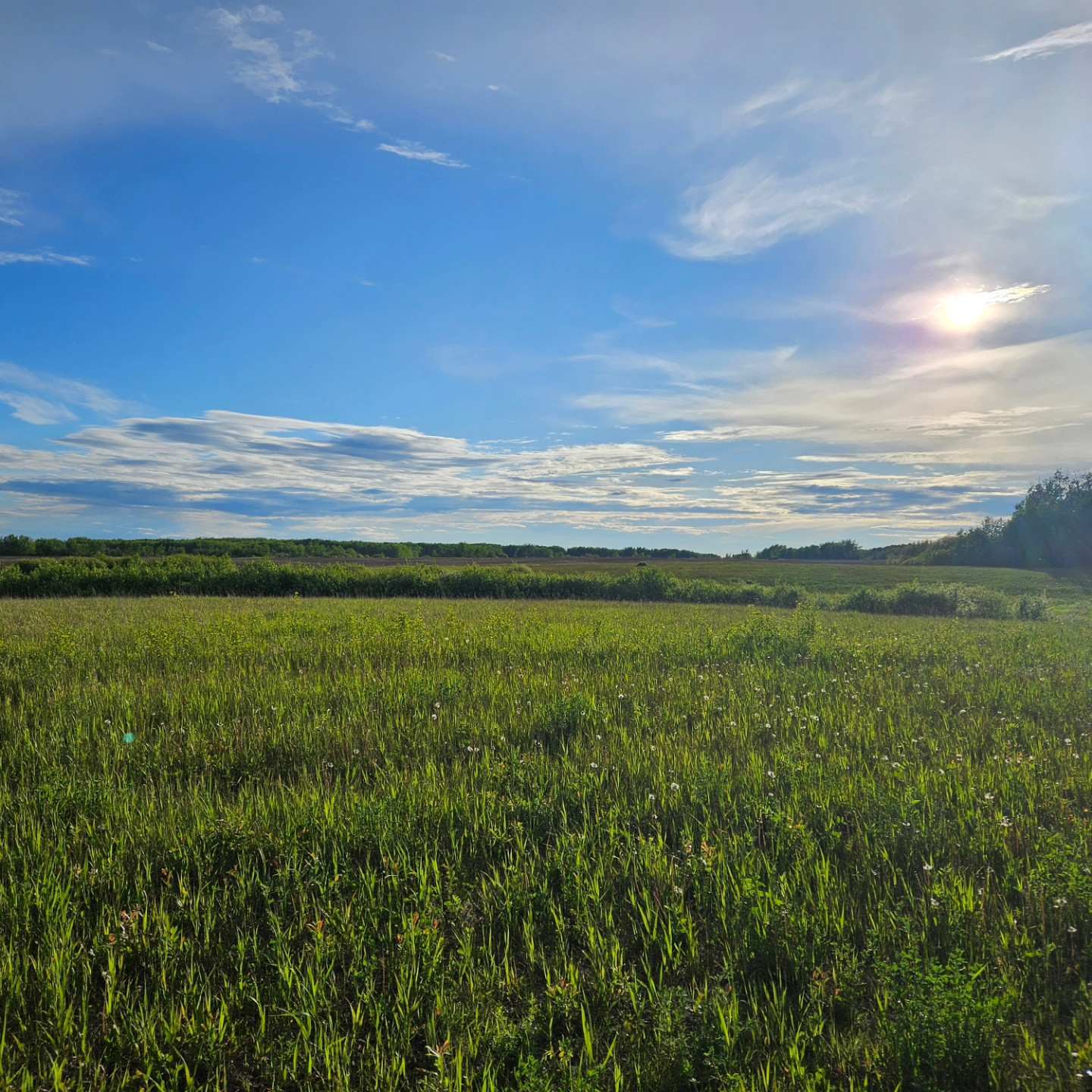 Forest's Edge Farm