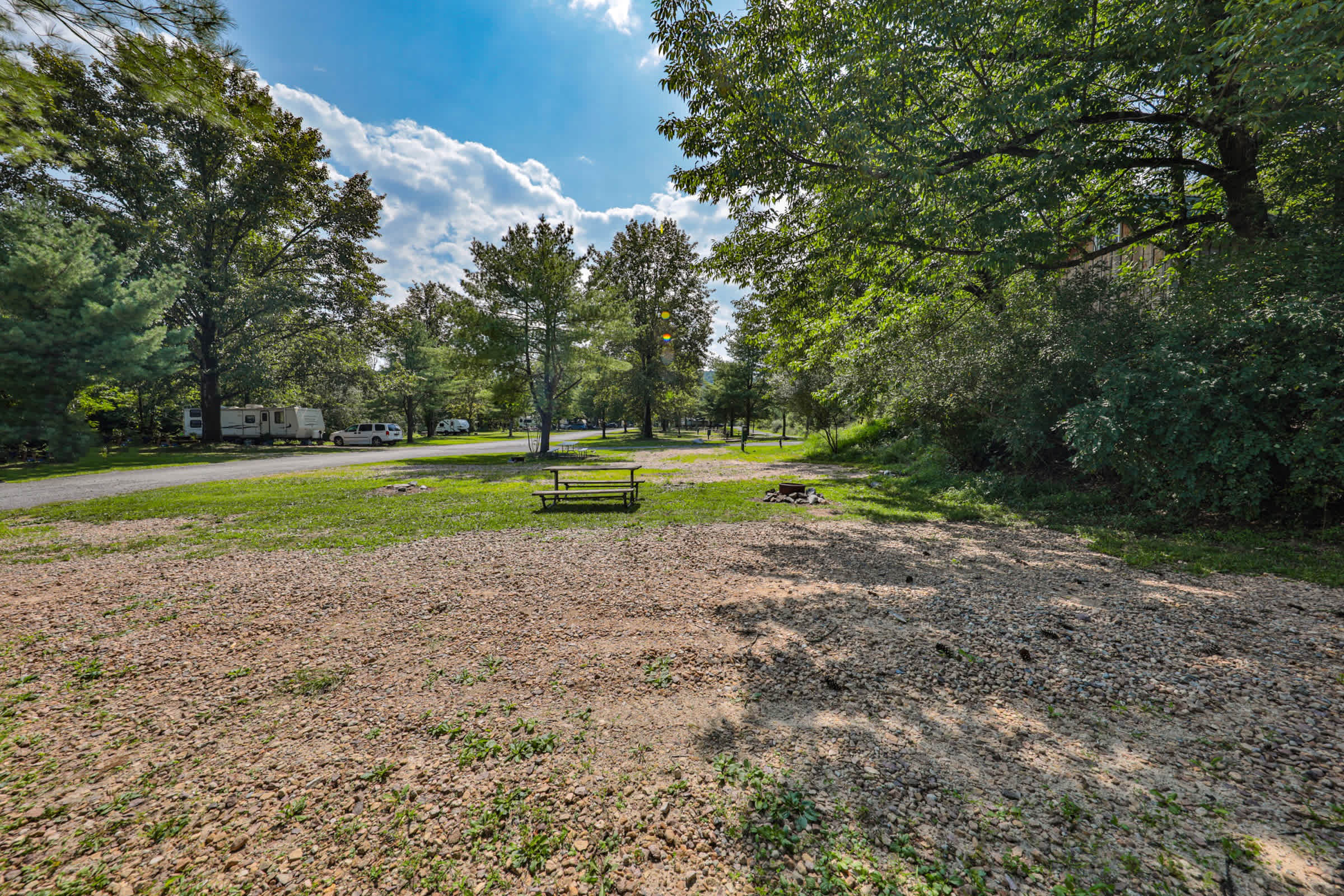 Picture of the site