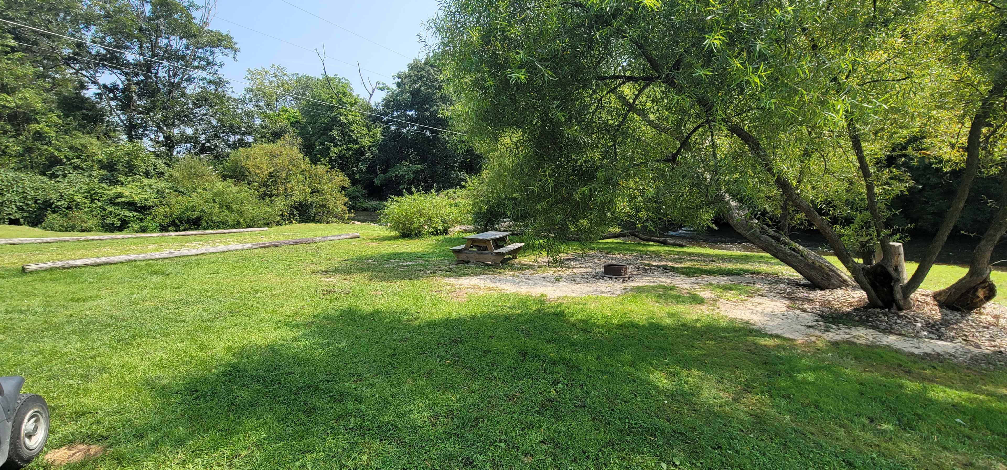 Picture of the site
