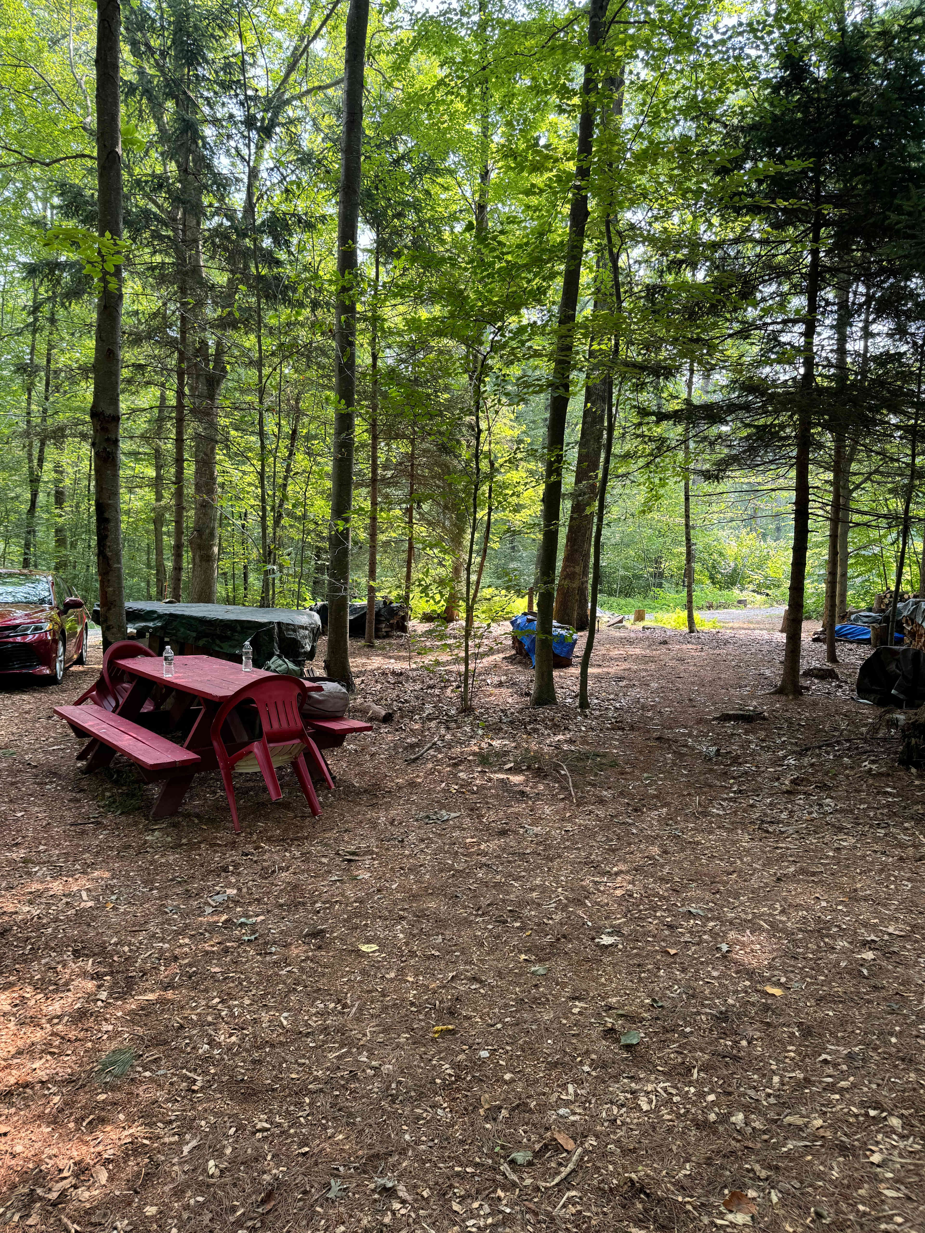 Fernwood on Alan F.’s Land