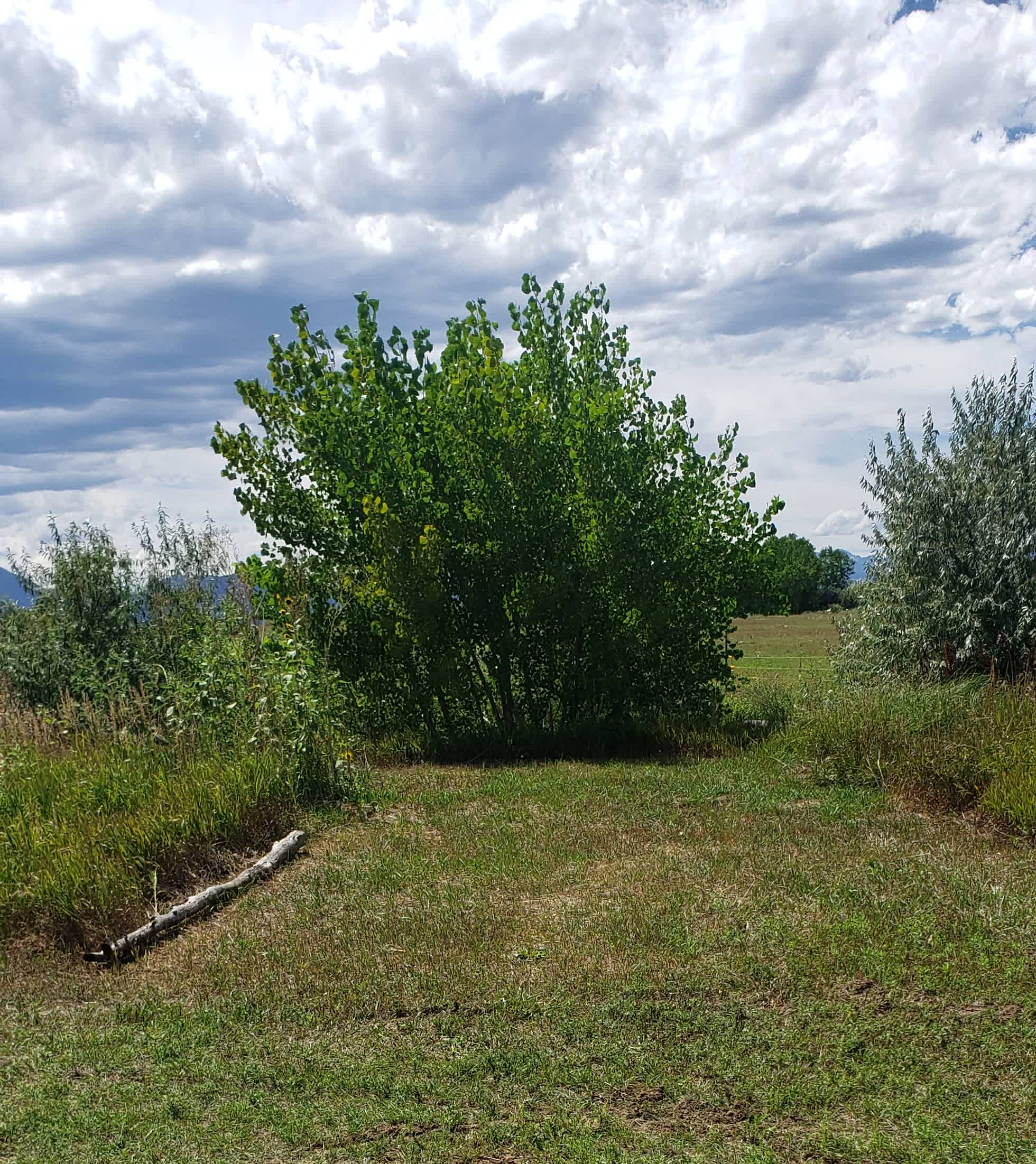 Montgomery Homestead