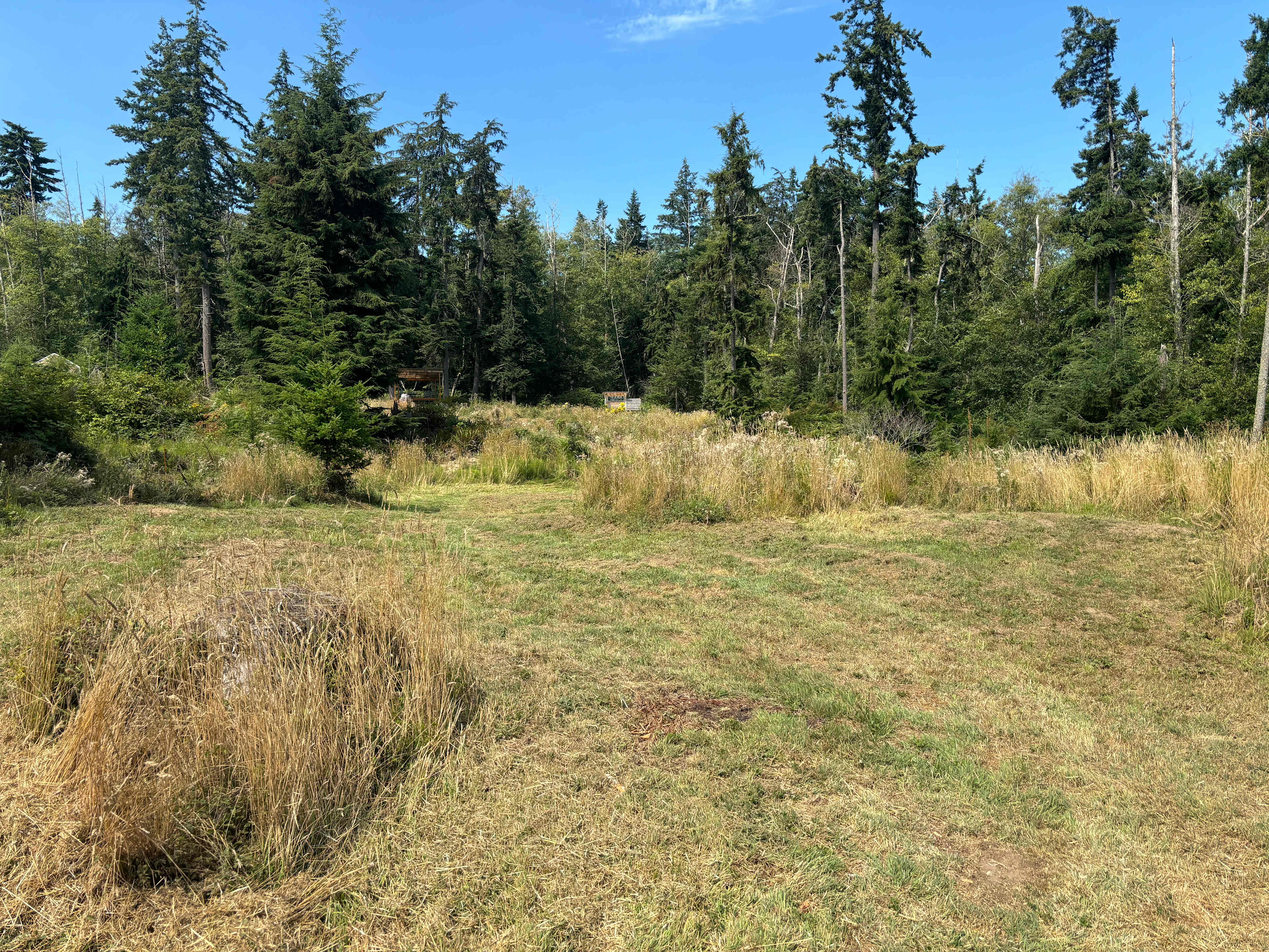 Secluded 5-Acre Retreat