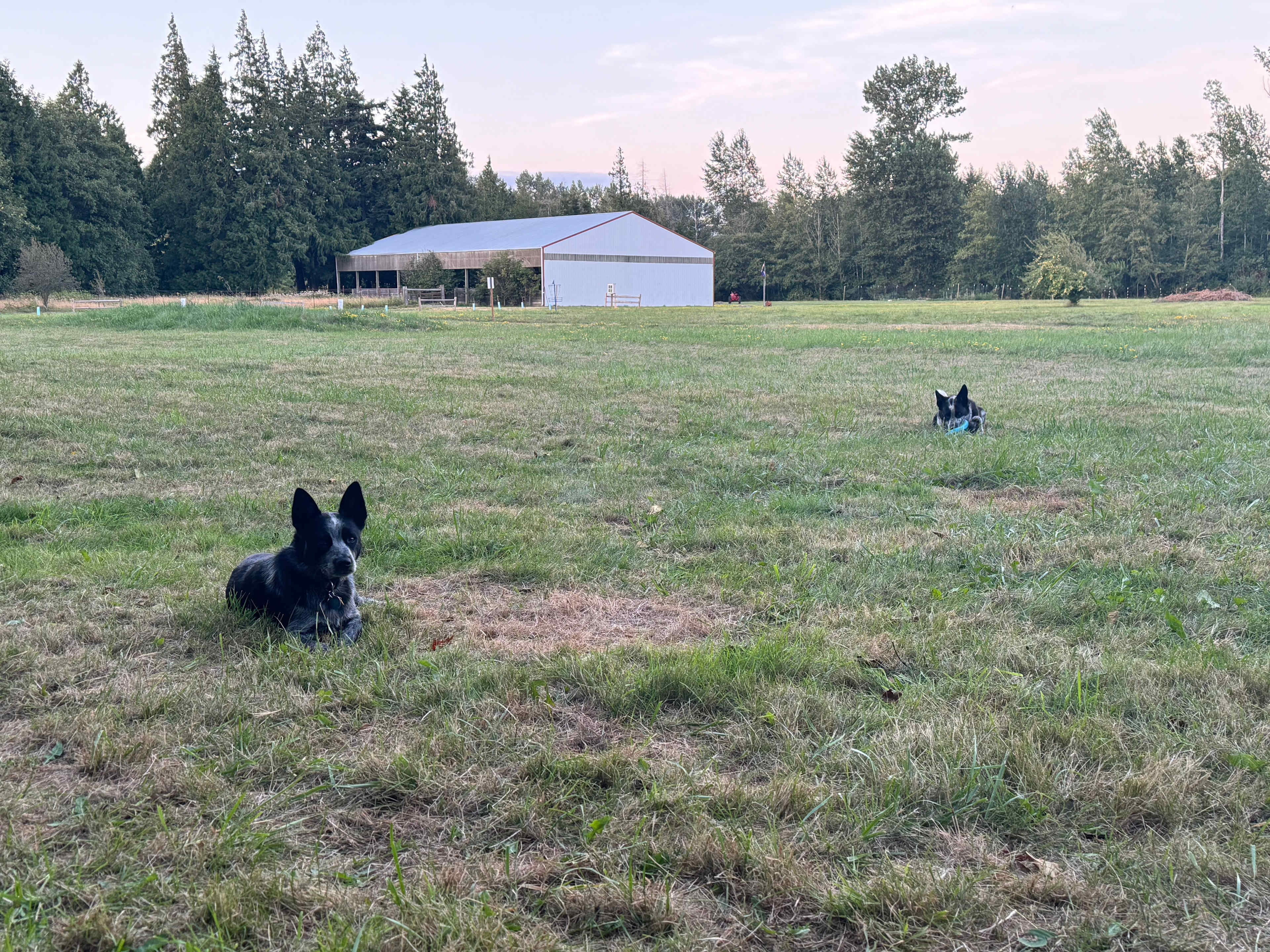 Rural Ranch Getaway