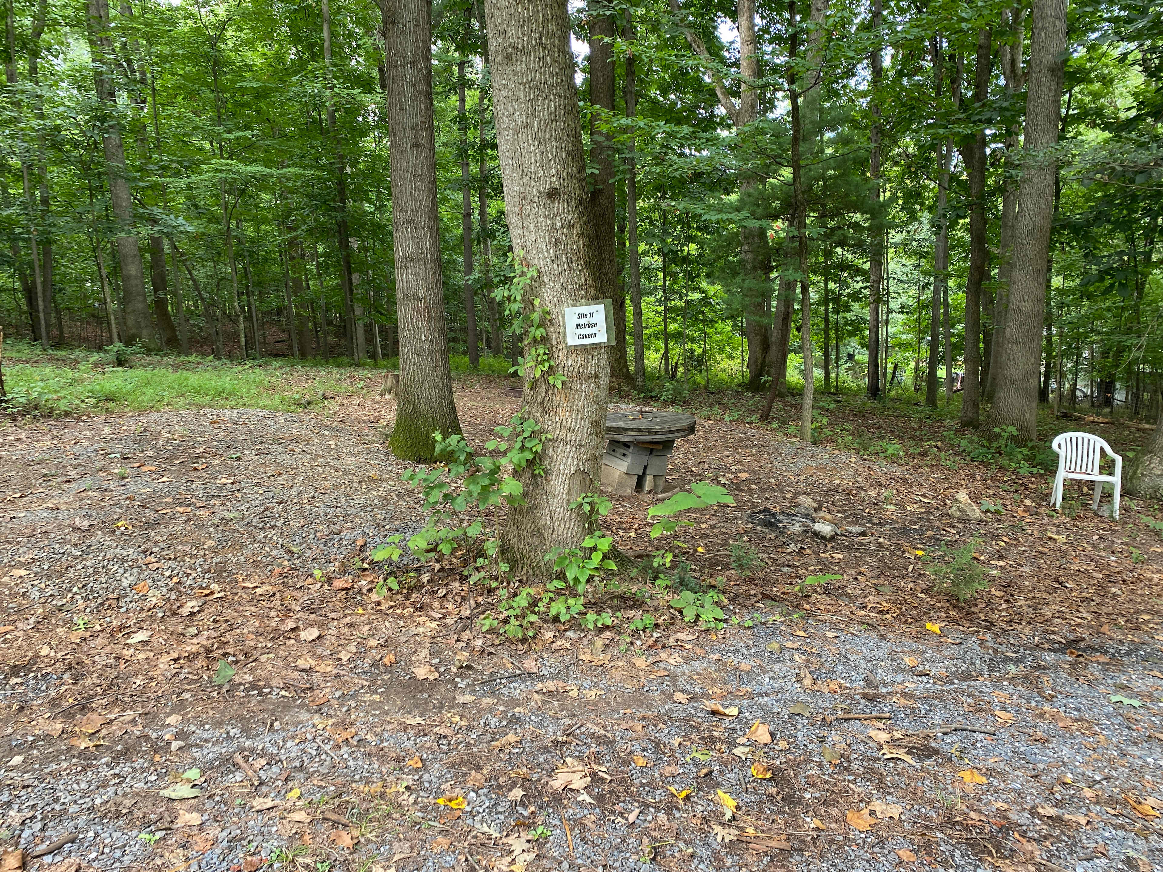 Picture of the site