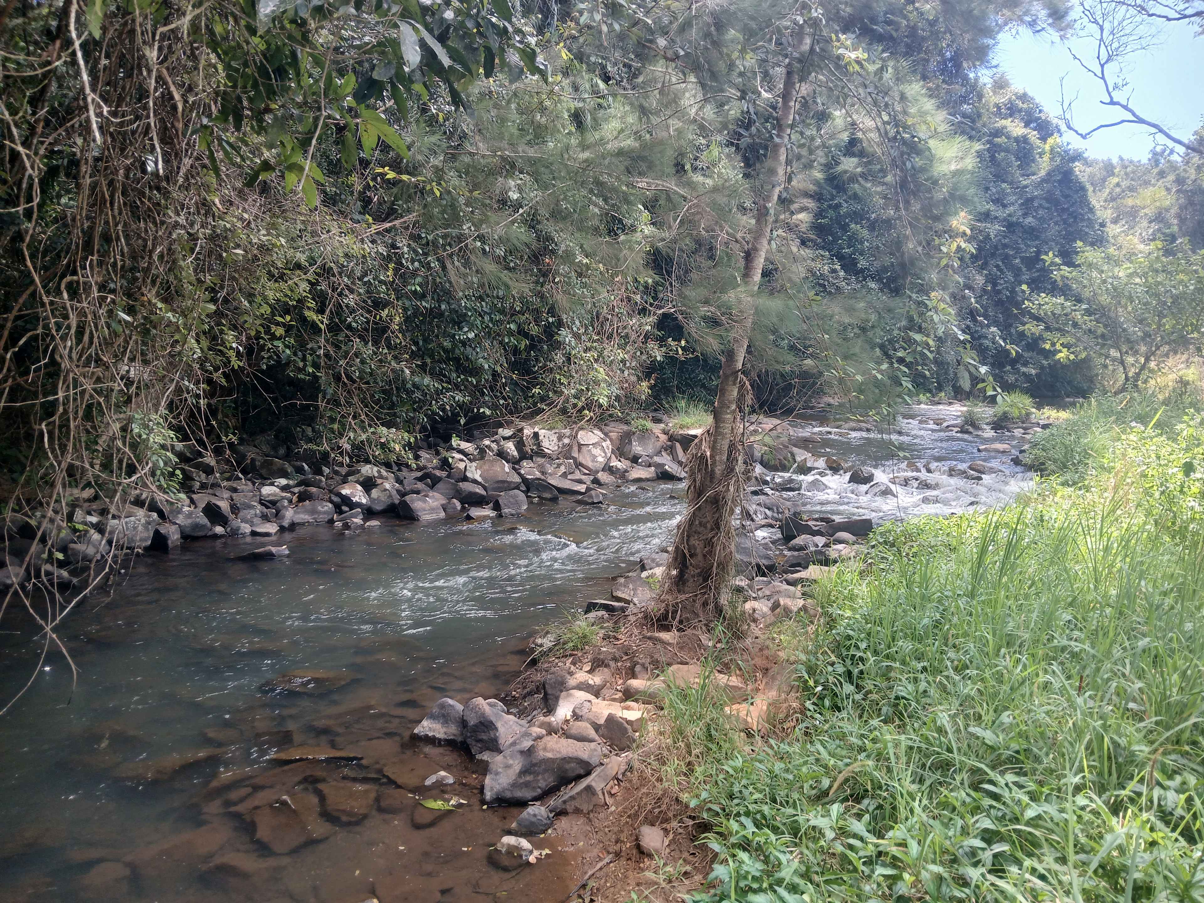 Malanda Stream Private Camping.