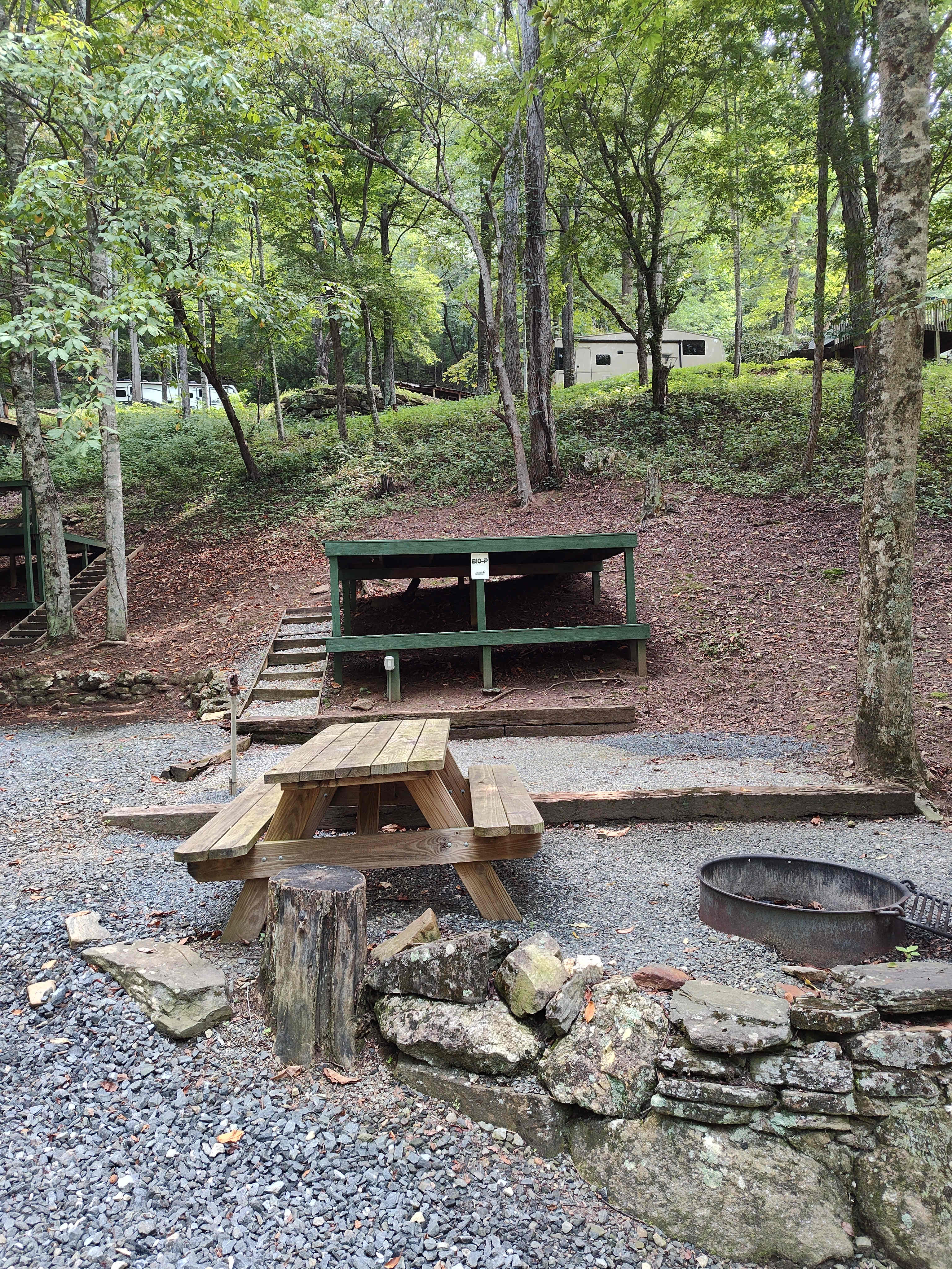 Picture of the site