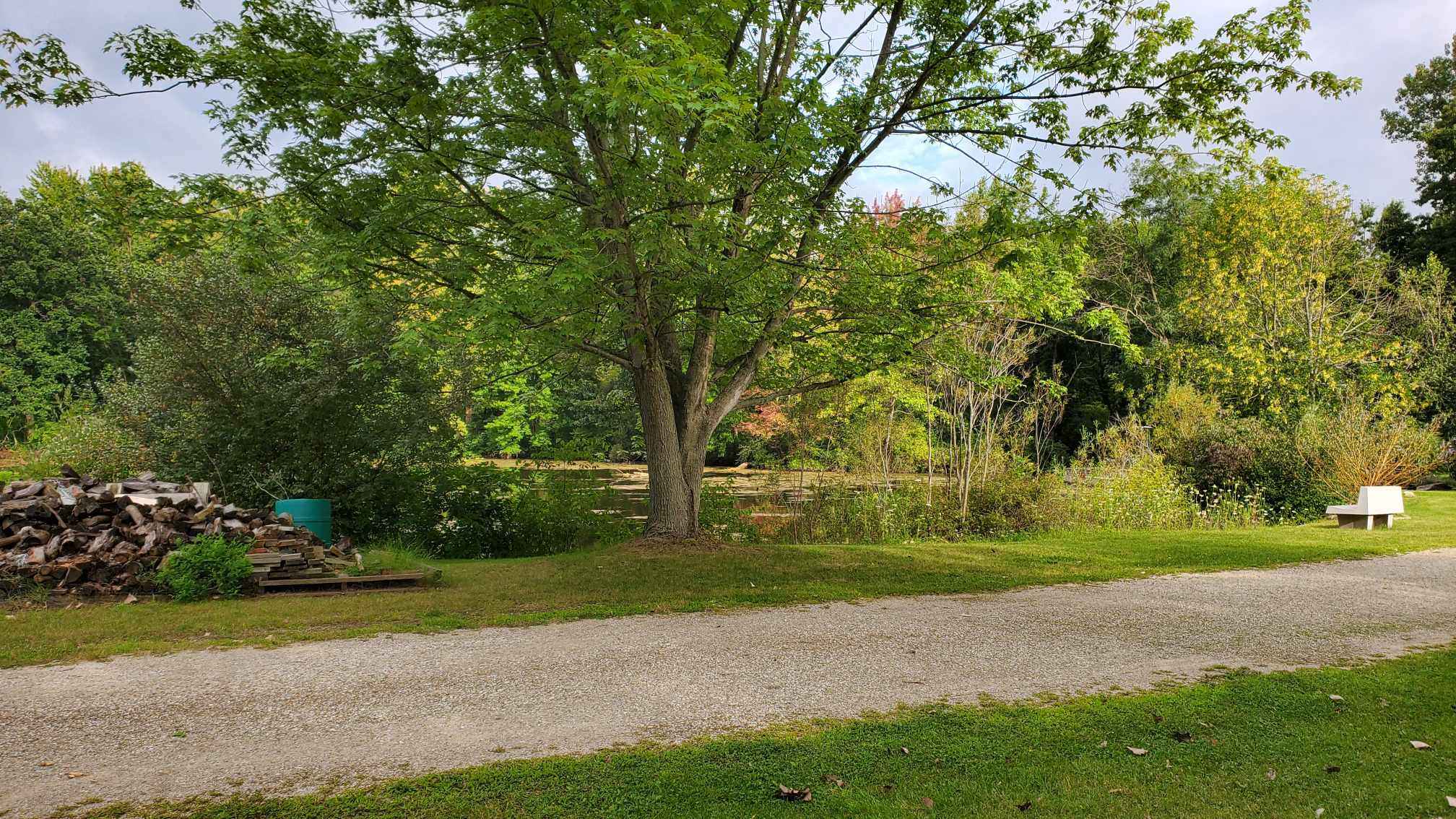 Picture of the site