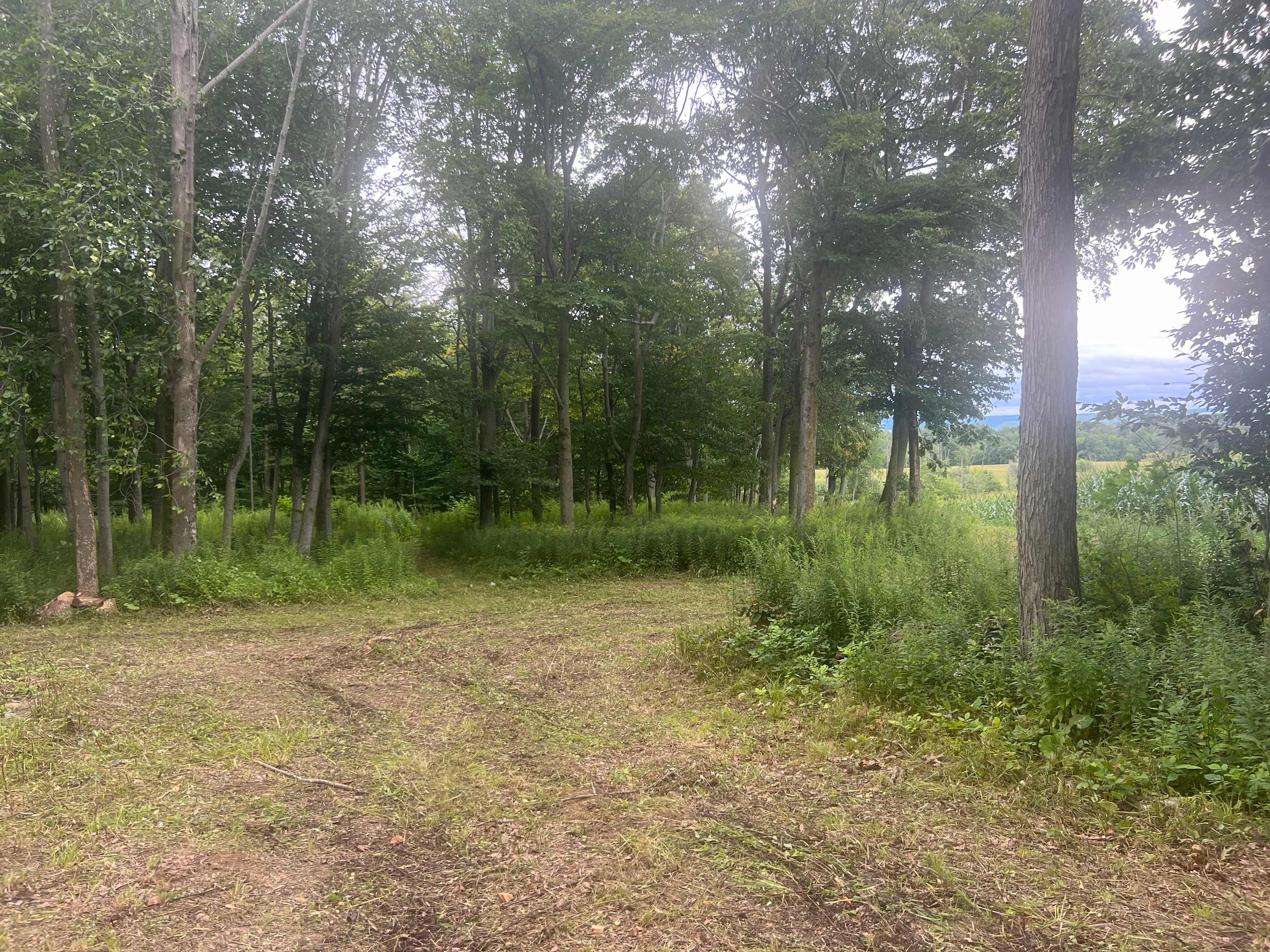 Campsite 1