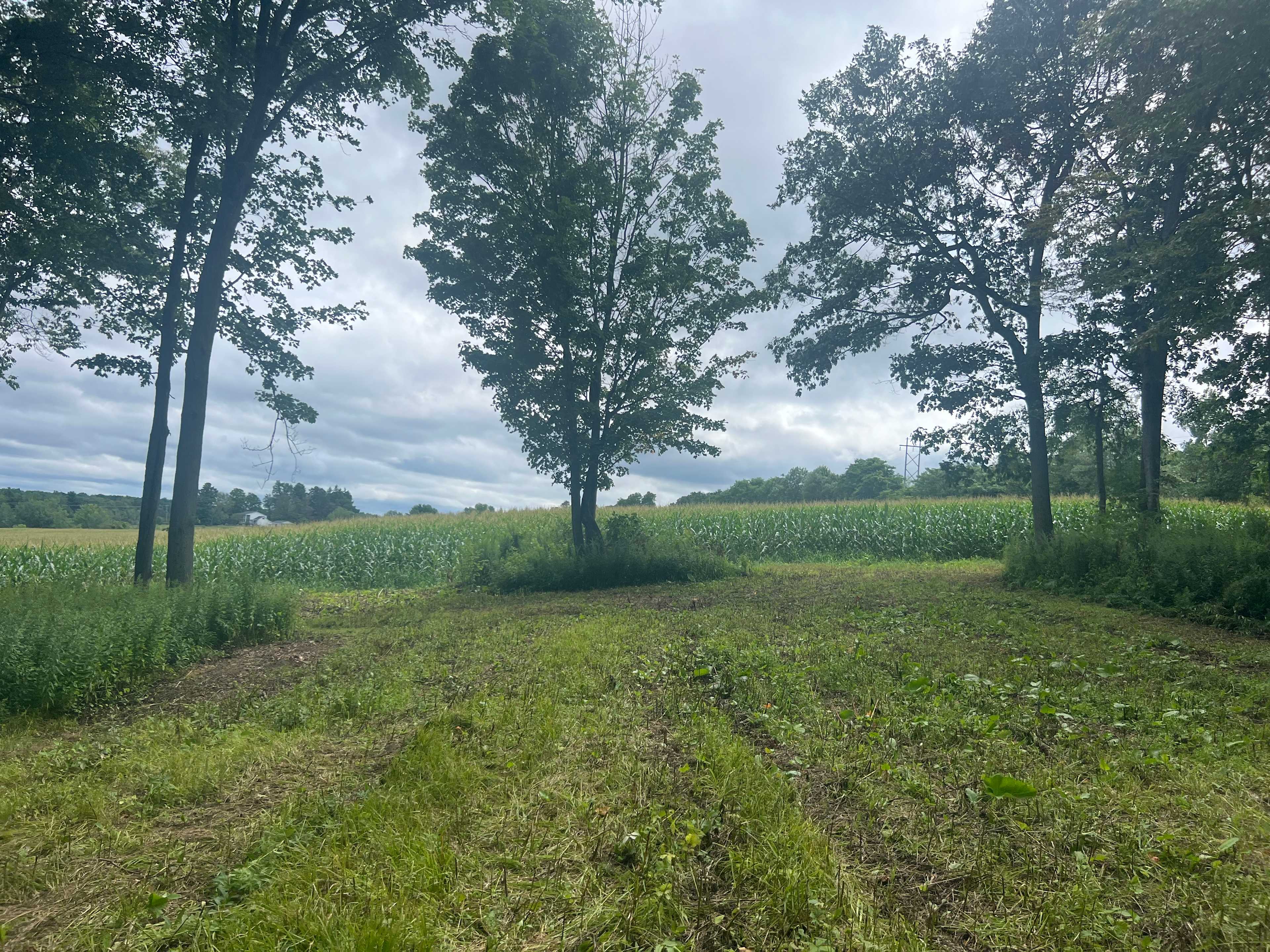 McCormick Farms Base Camp