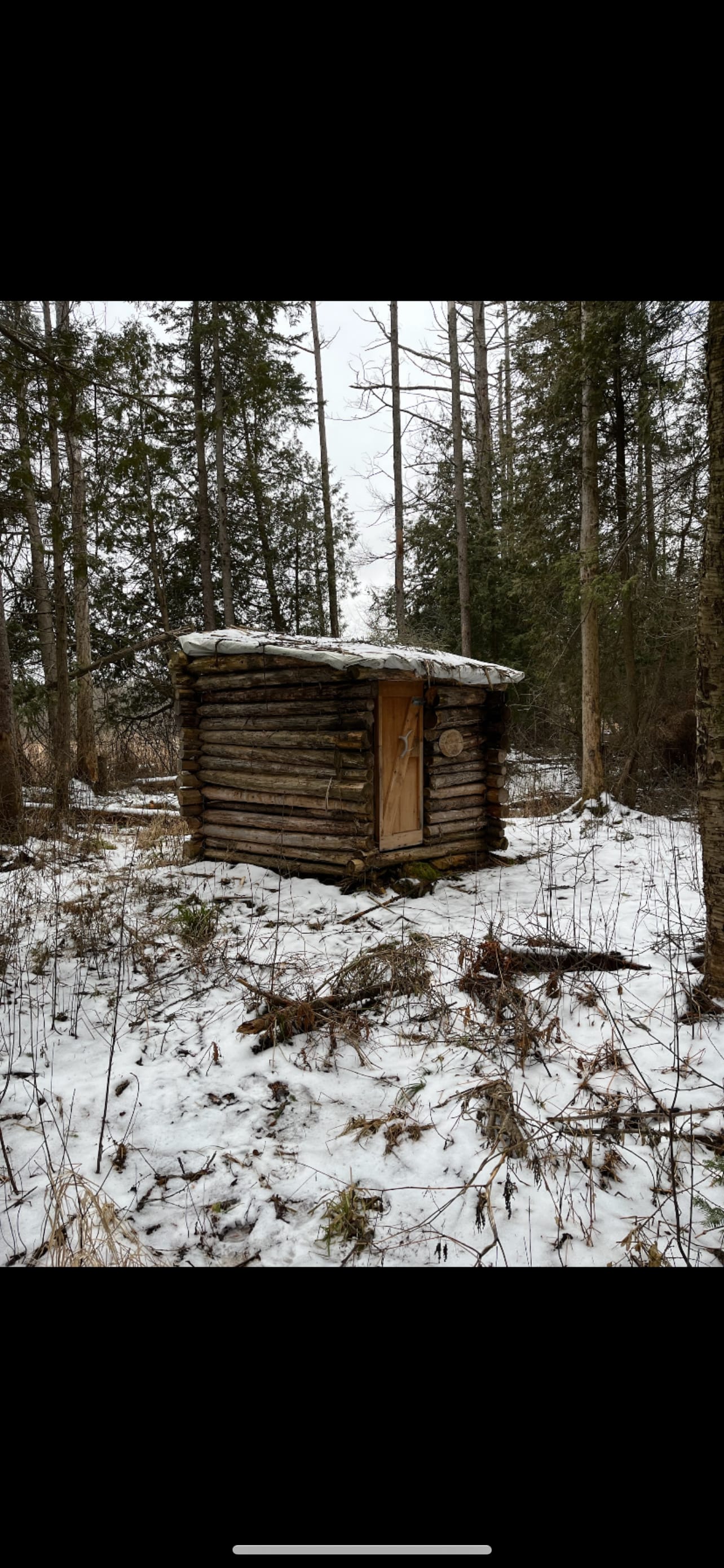 The Wilderness Site