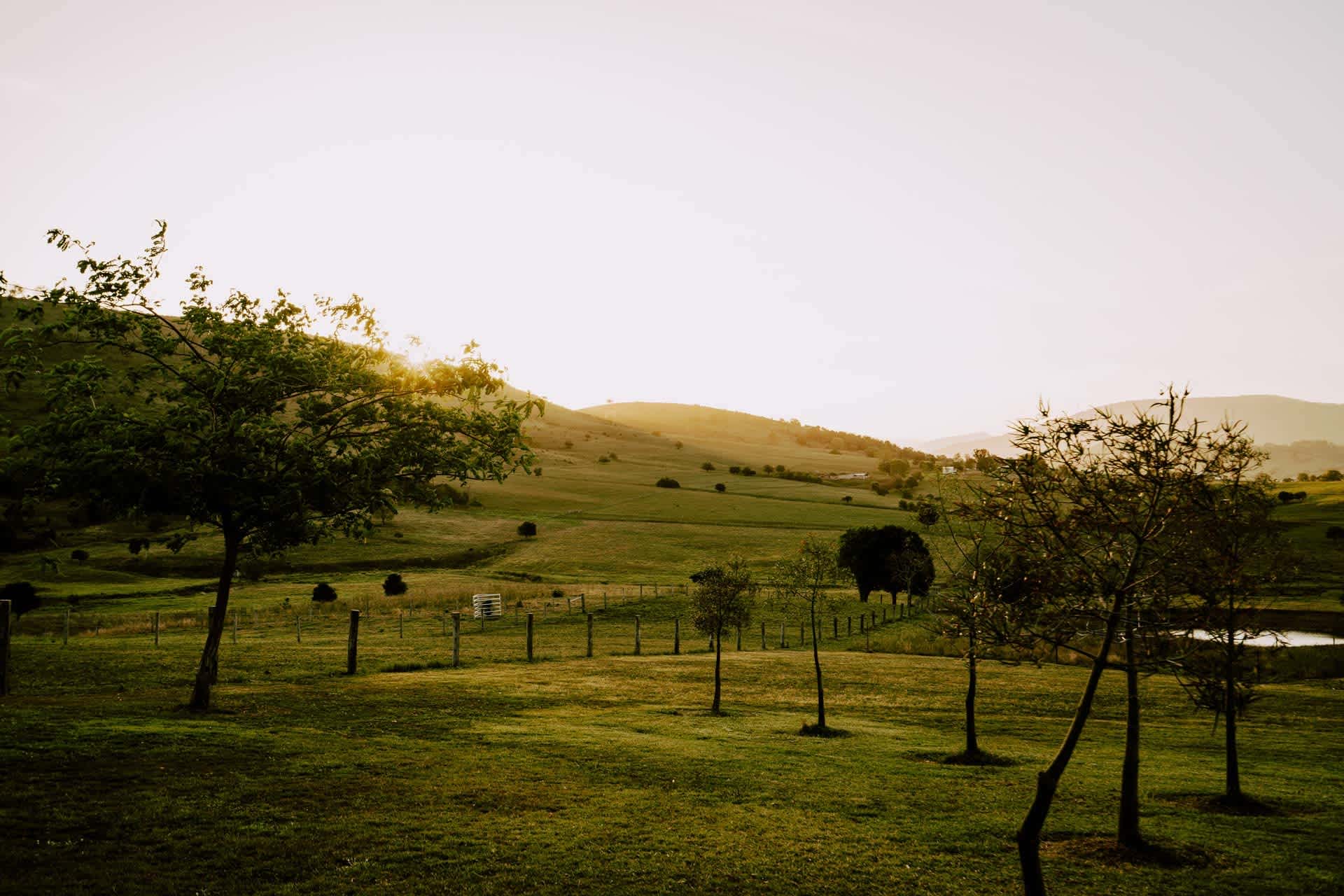 Milford Country Cottages