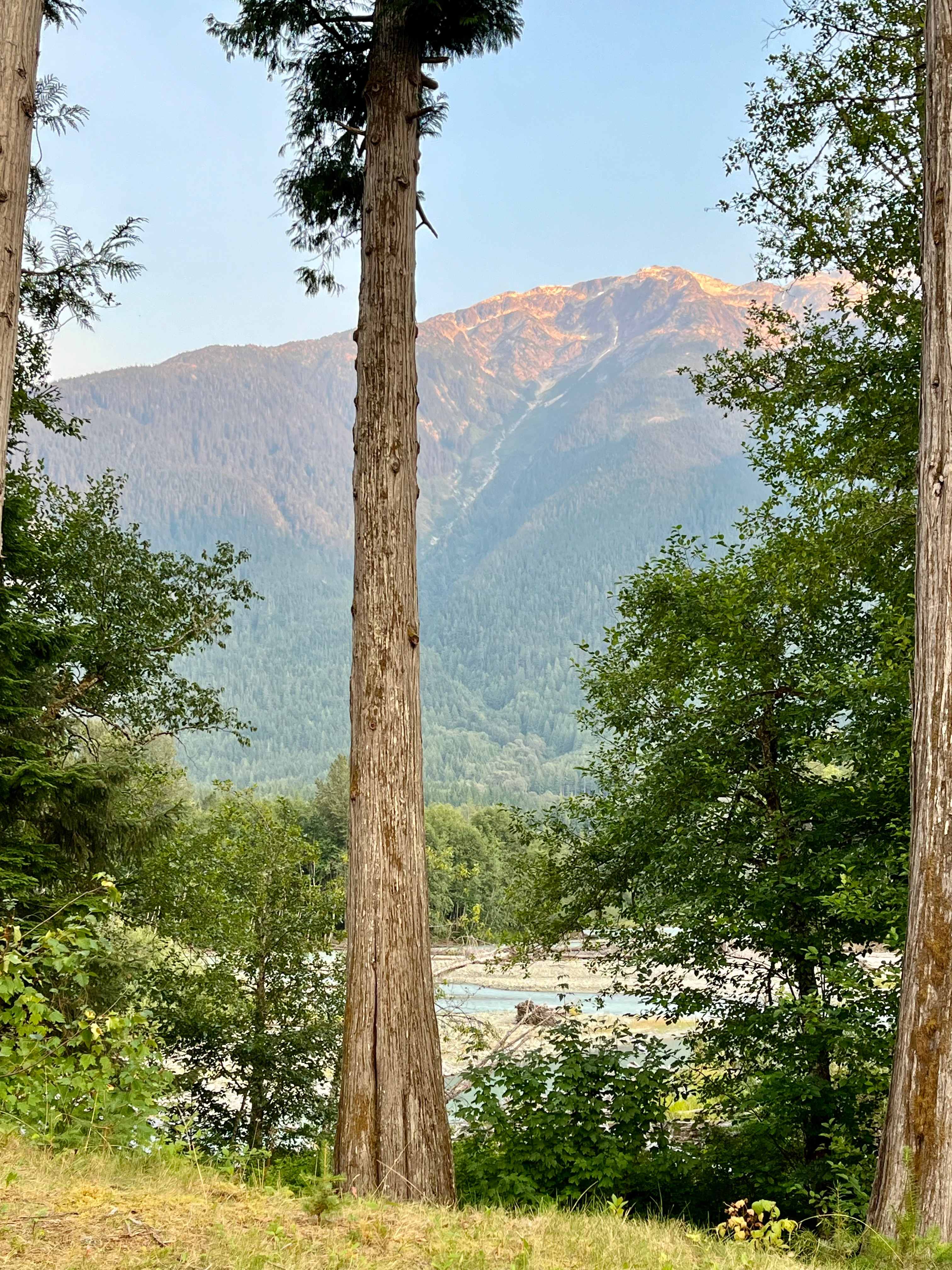 Bella Coola Riverside Camp