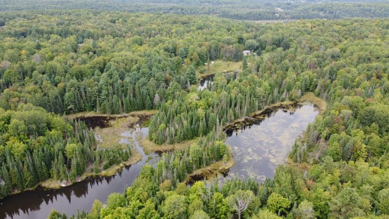 Picture of the site