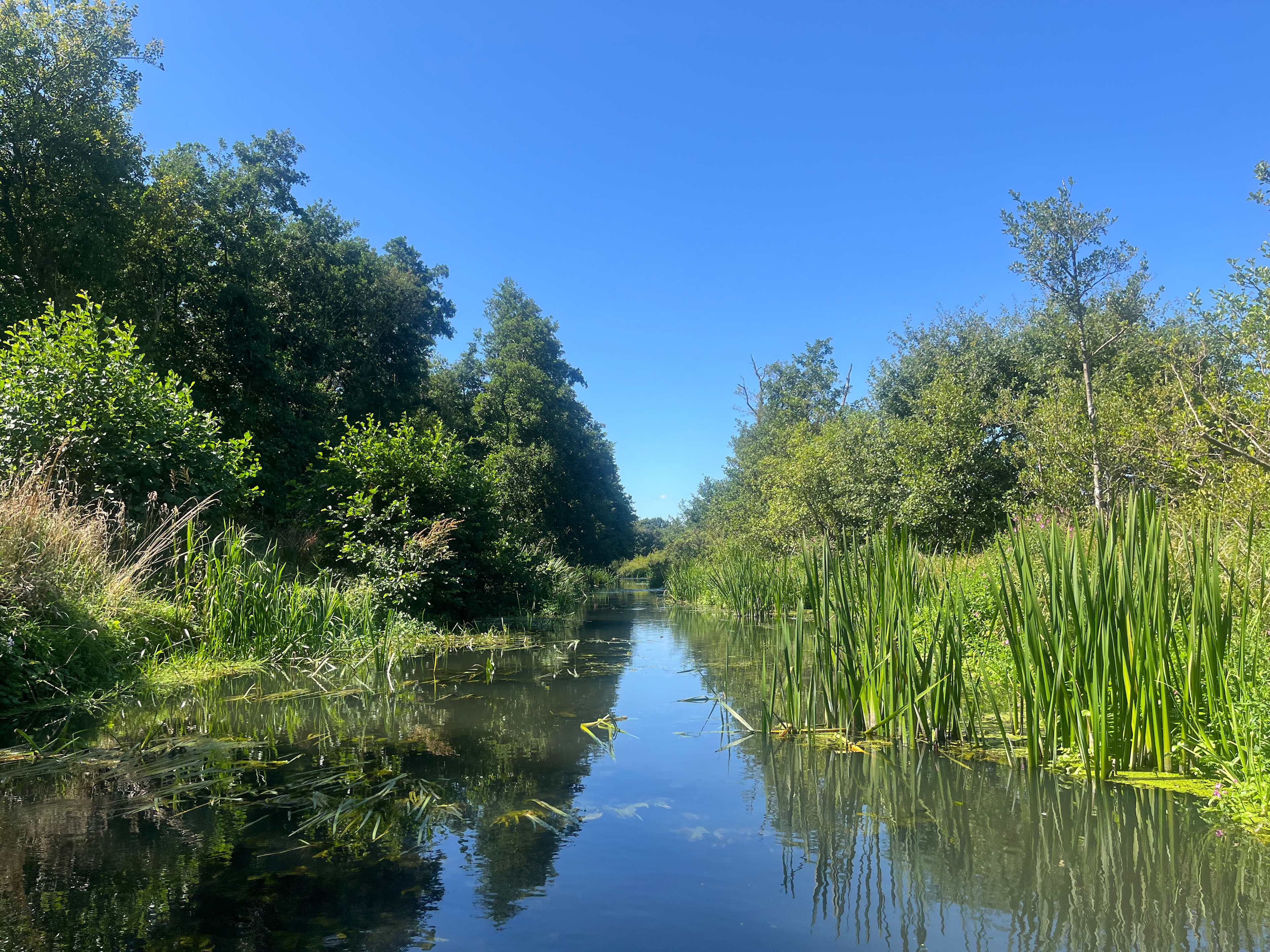 Canal Camping