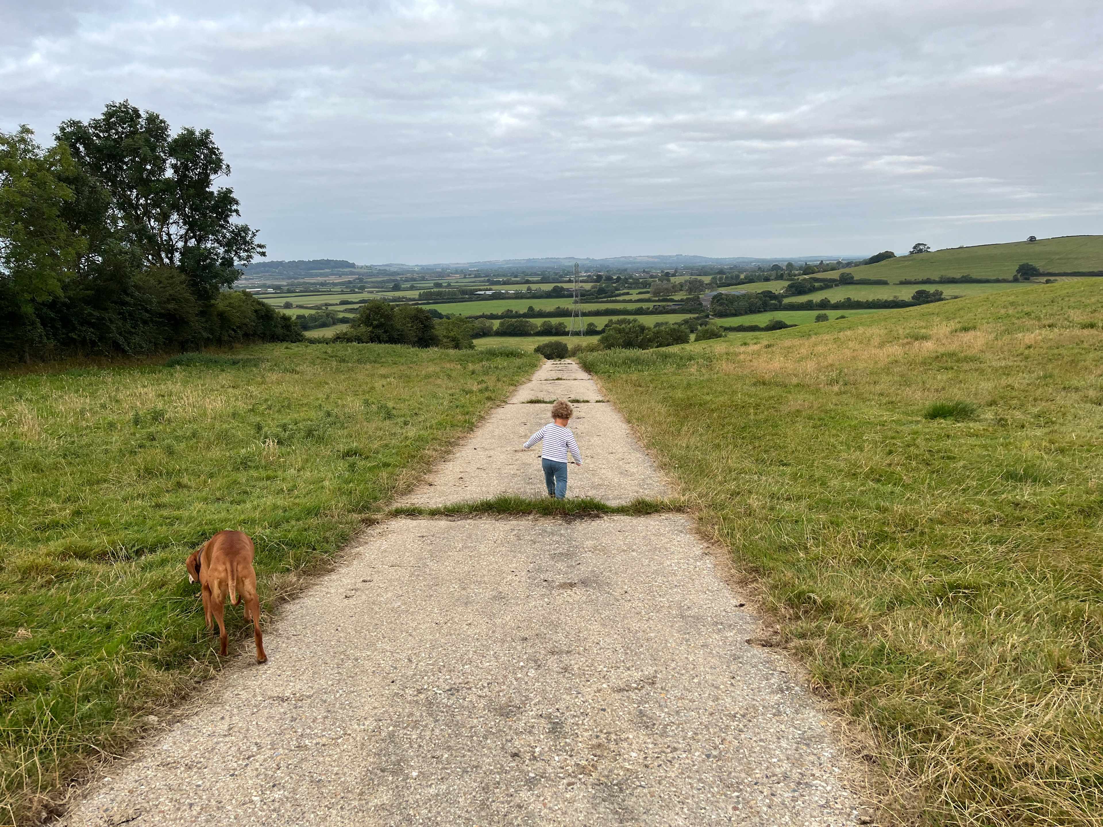 Pitchcott Farm