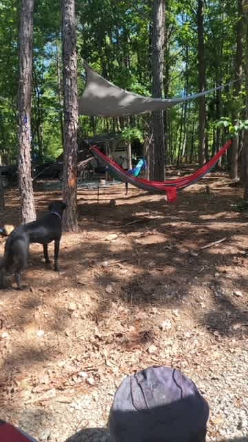 Camp 4everyoung