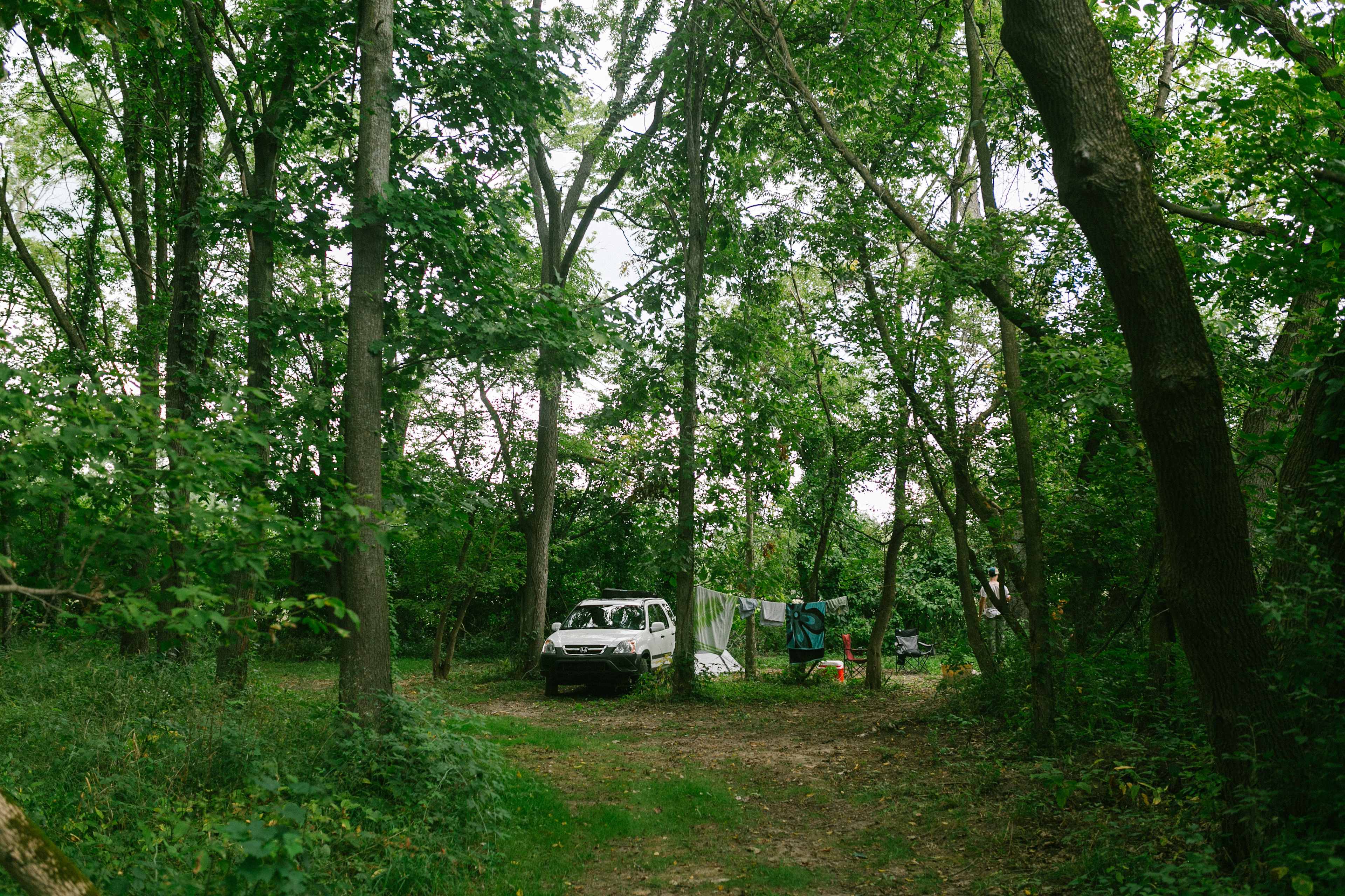 The view when you are entering the campsite.