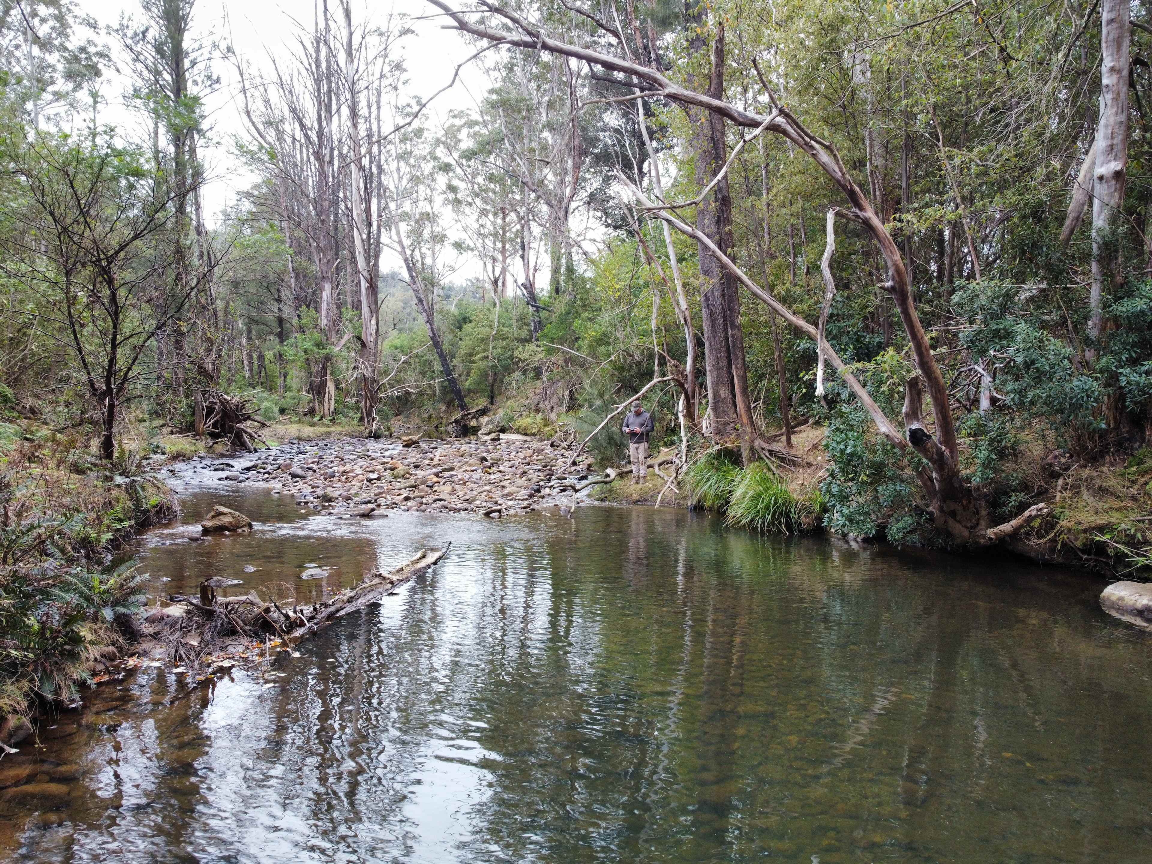Wombat Hollow