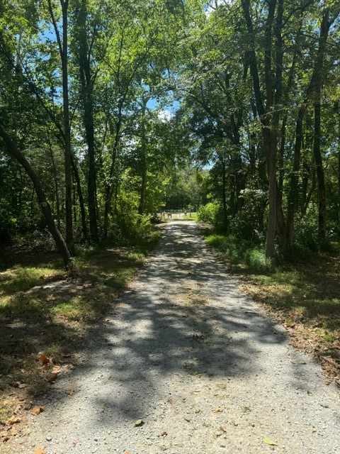 Sonny Hills