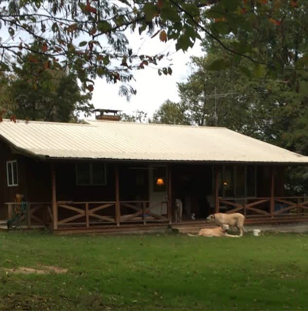 CABIN