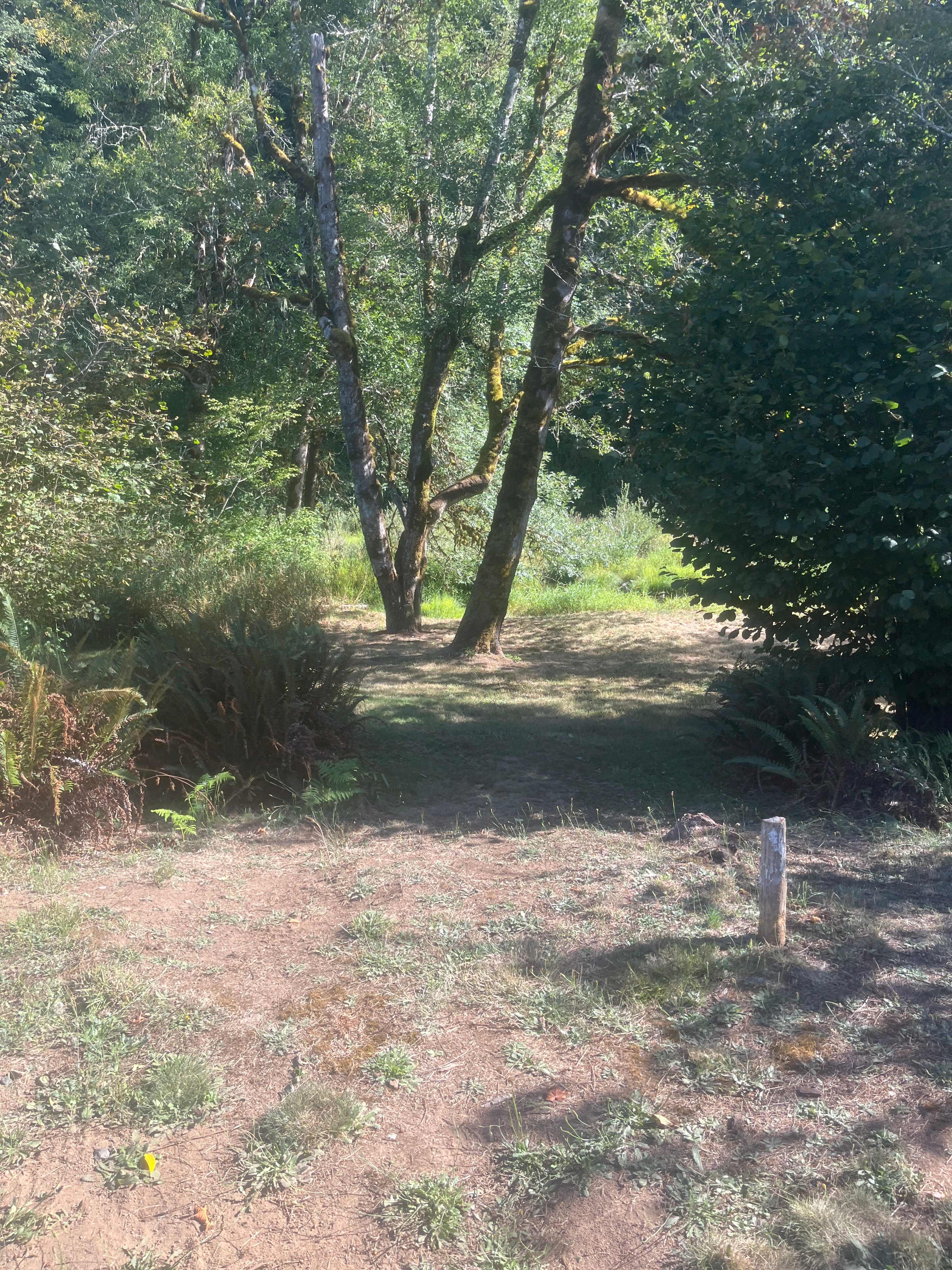 Smith River Campground