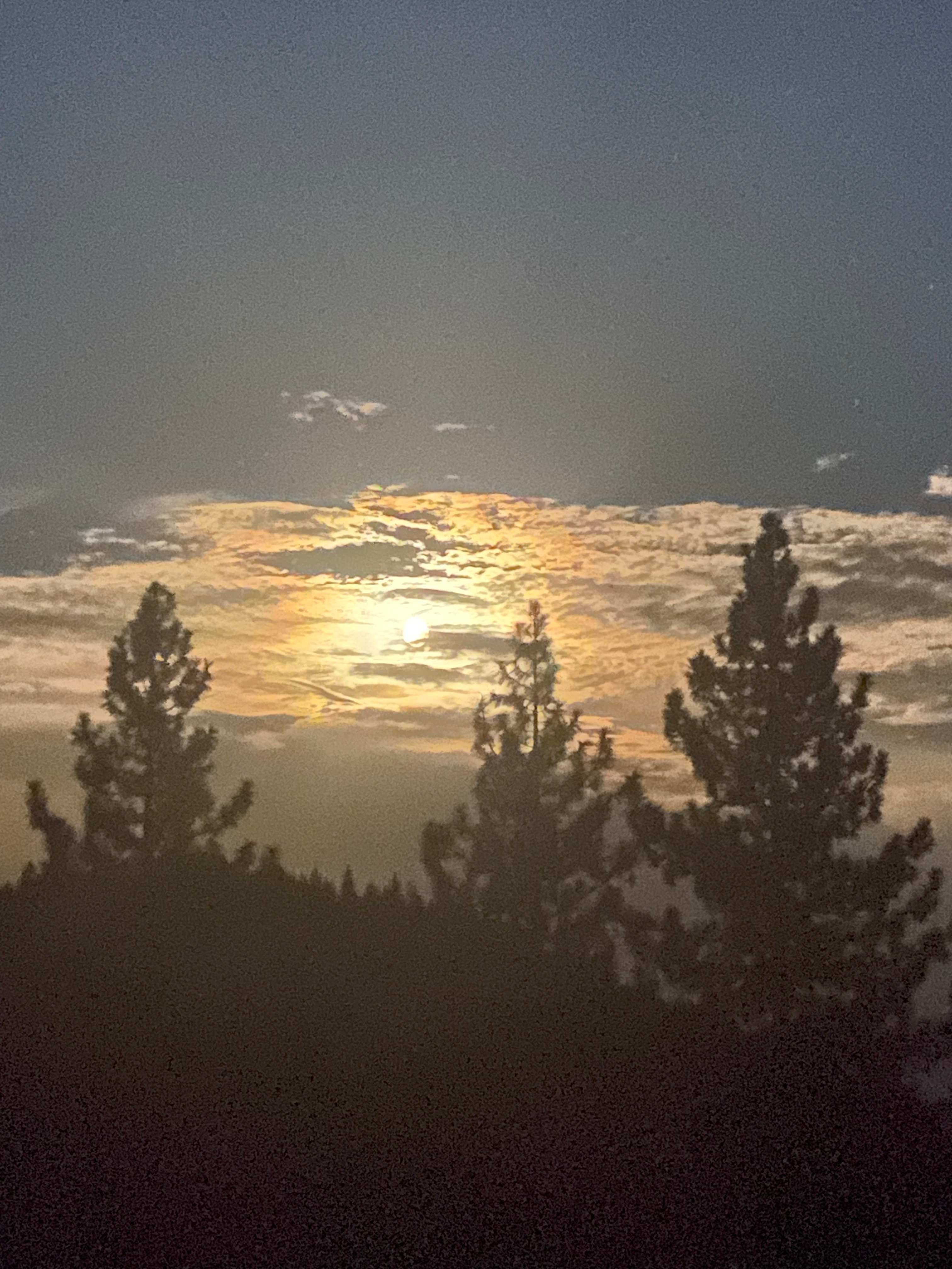 Moonrise!