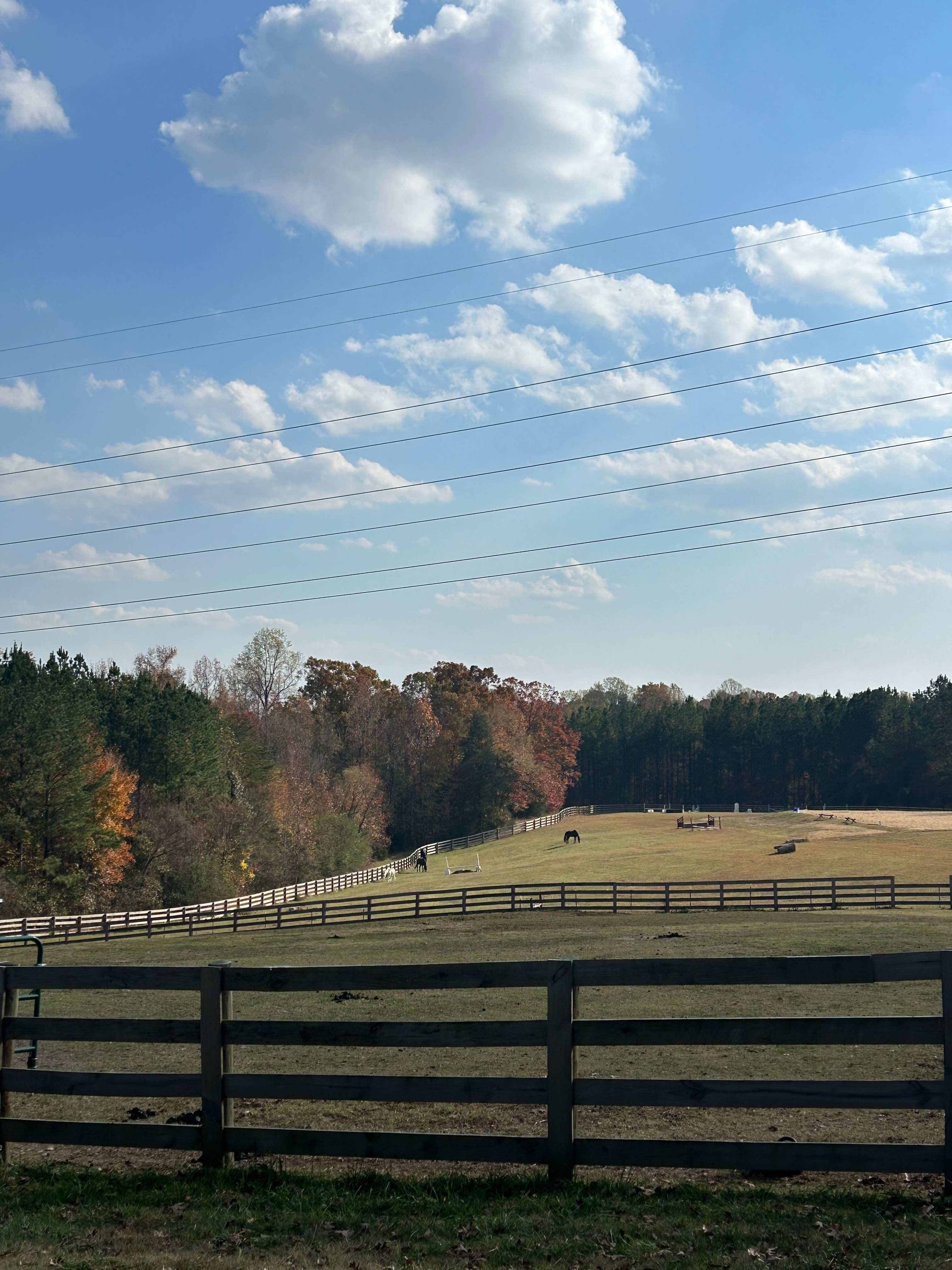 Pritchett Pastures