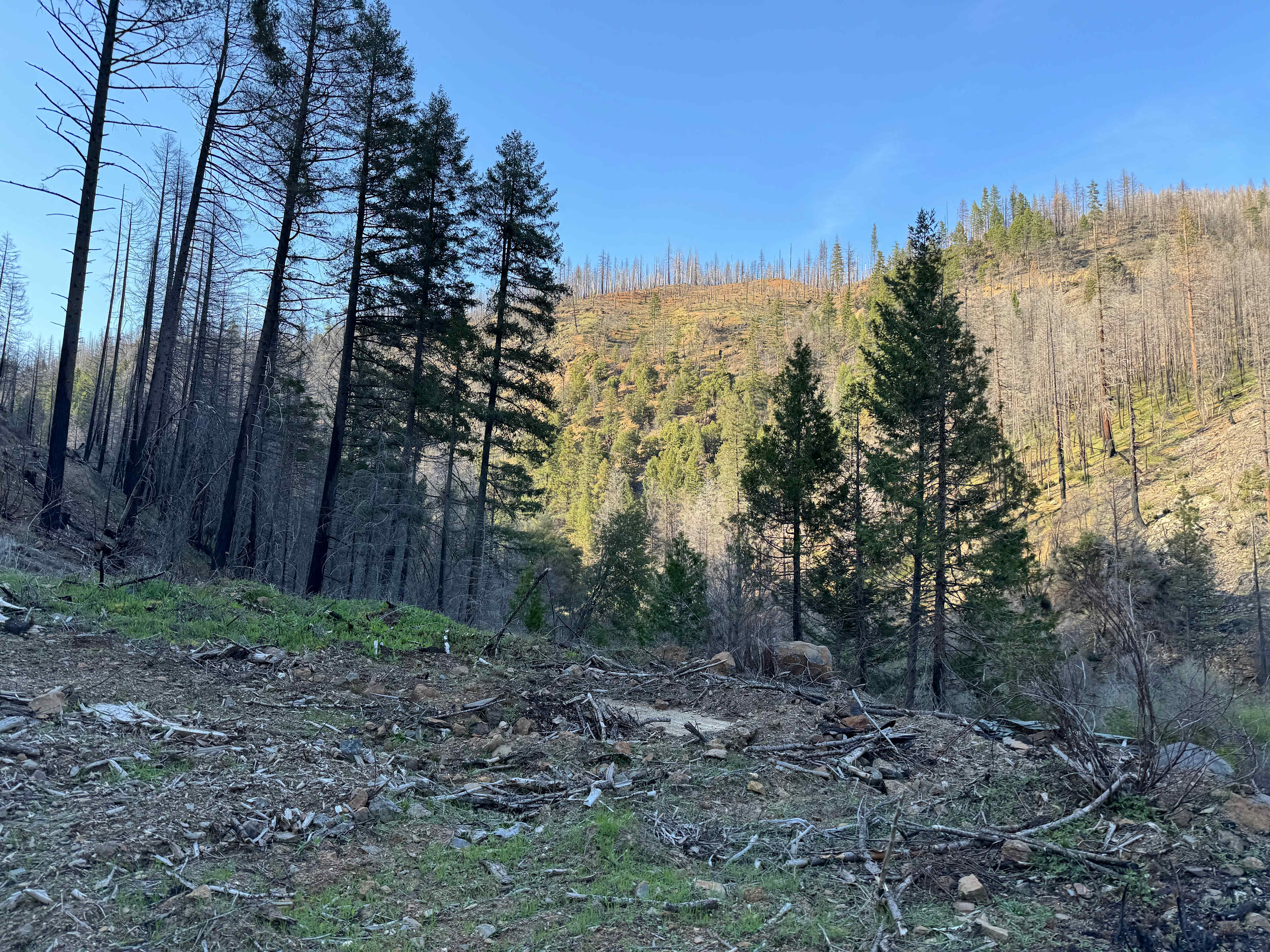 Picture of the site