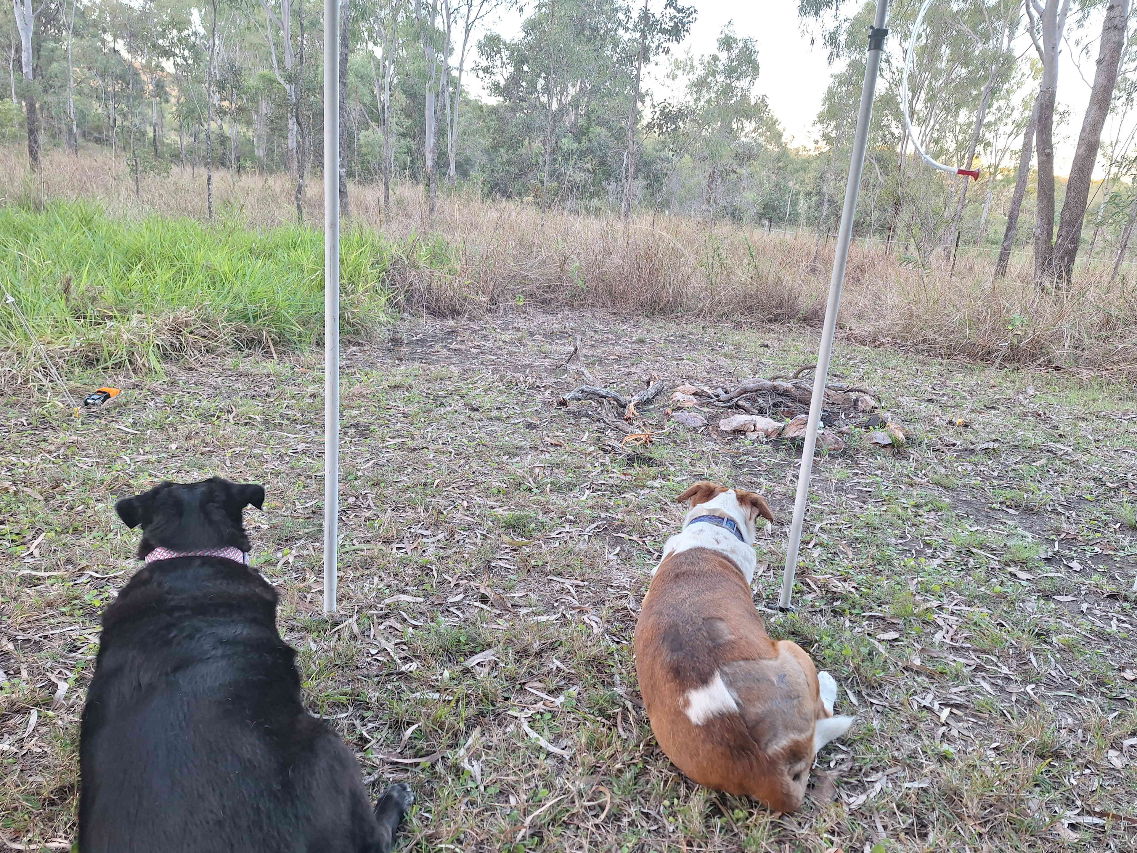 Little Glenora Bush Camp