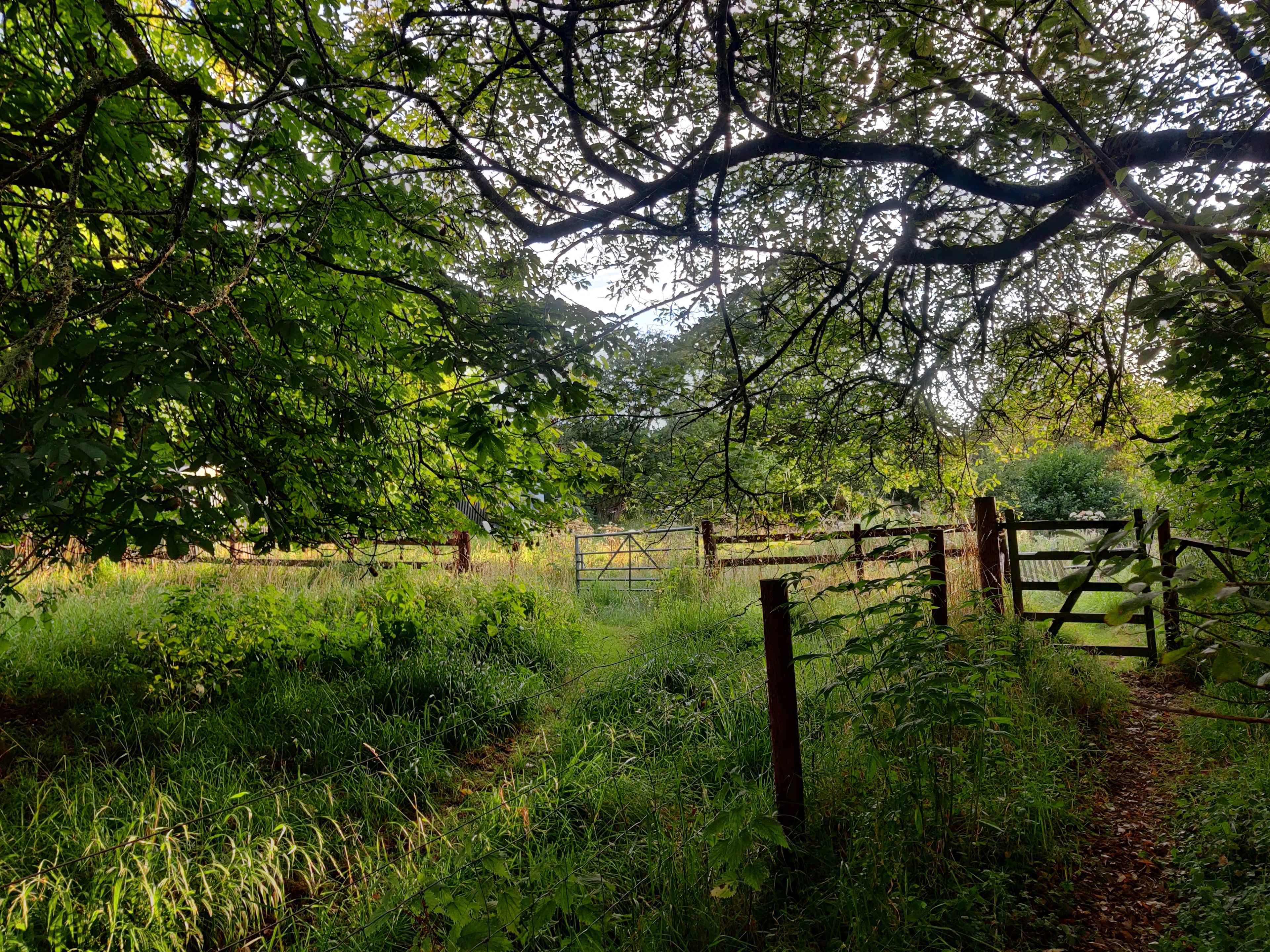 Miller's Huts Dorset