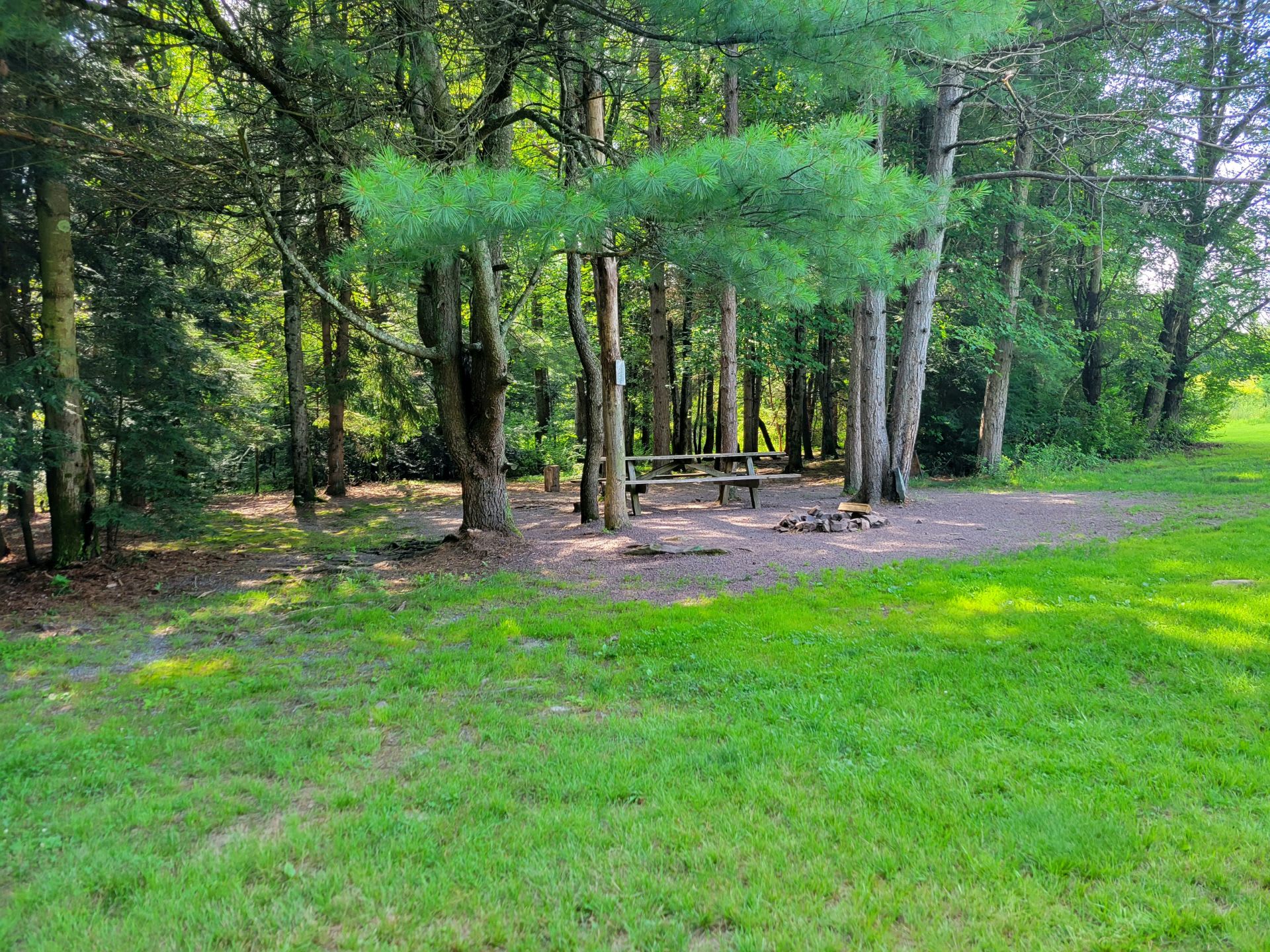 Picture of the site