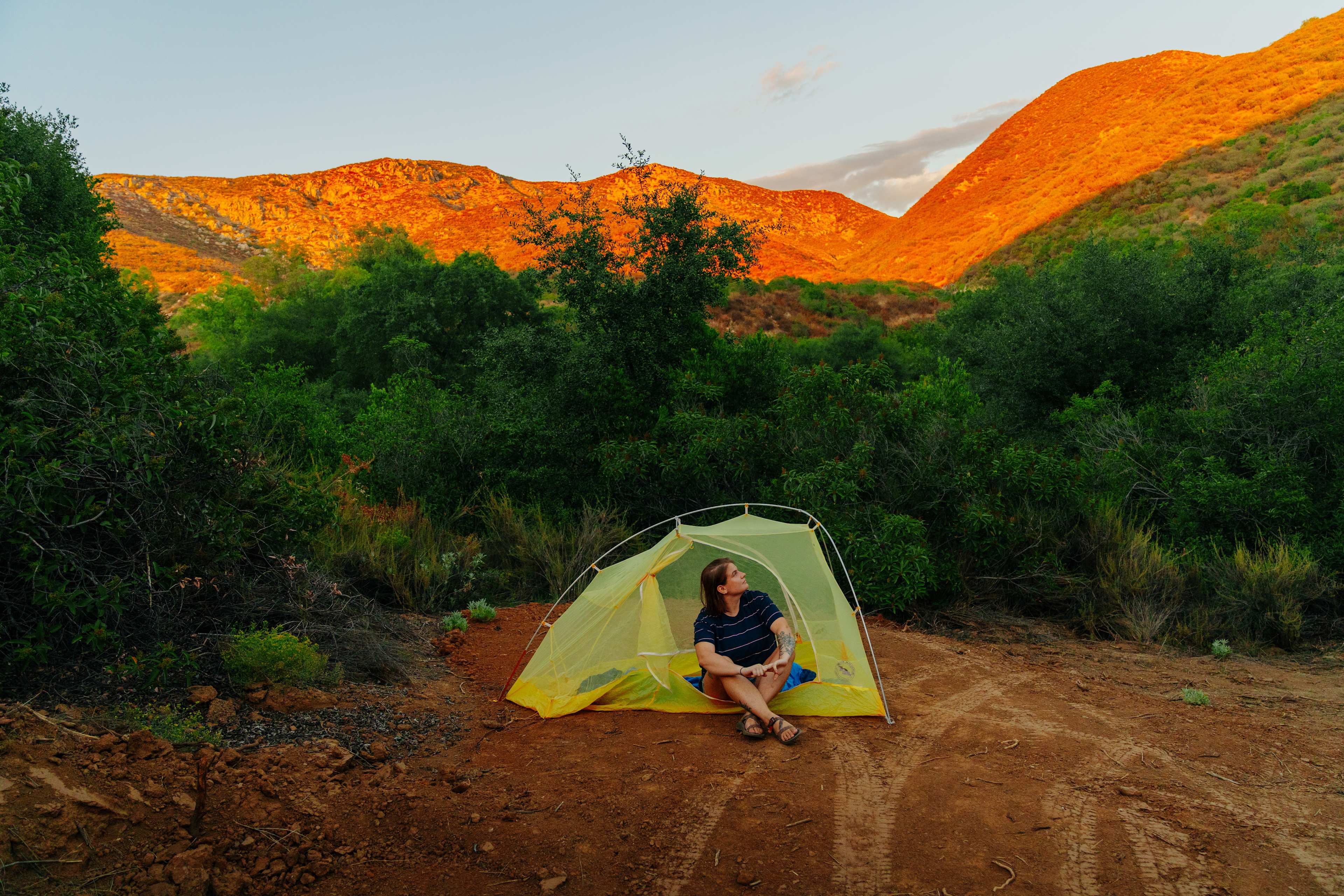 Dutchman Canyon