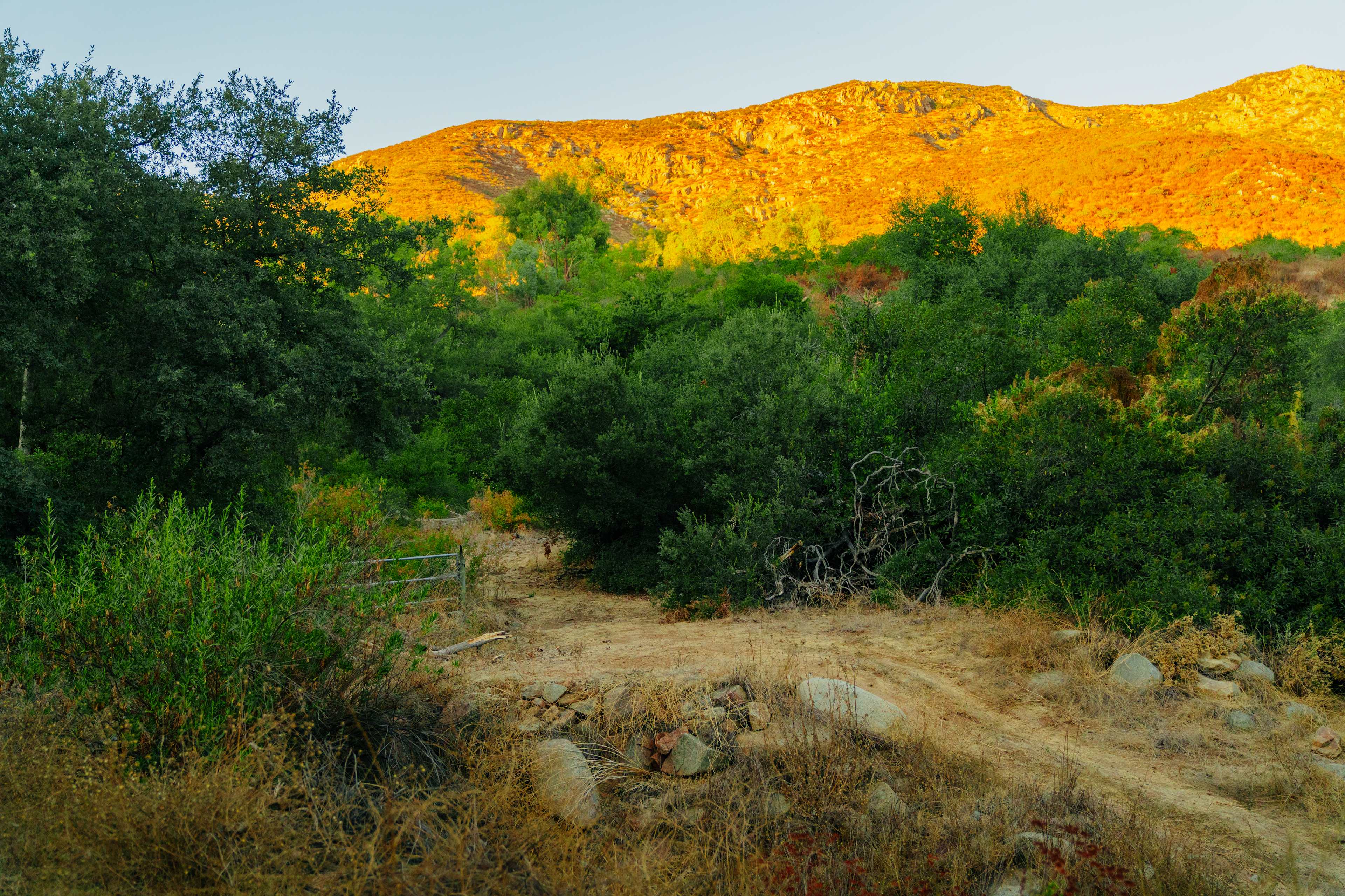 Dutchman Canyon