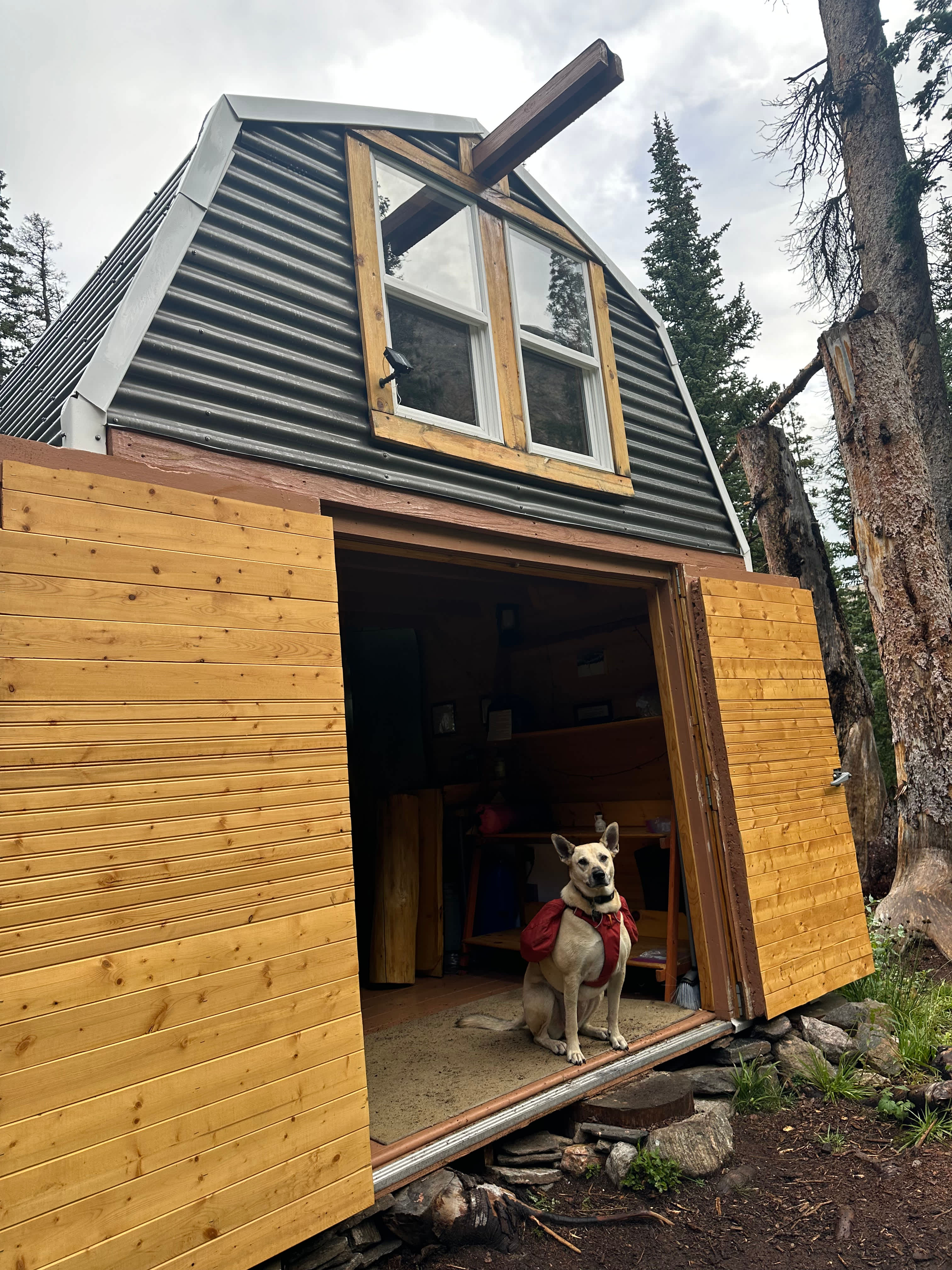 We love dog friendly cabins 🐕