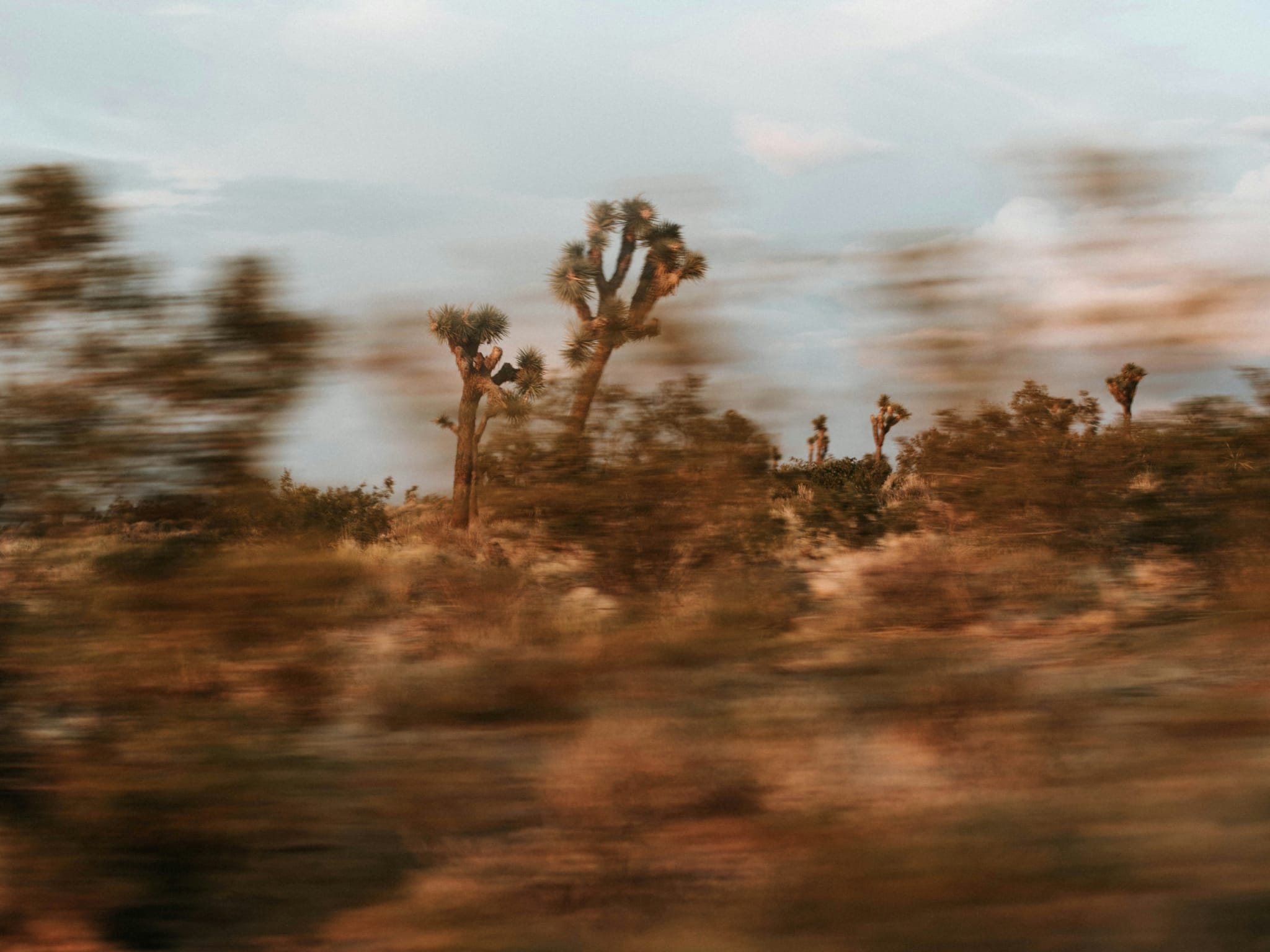 Joshua Tree National Park