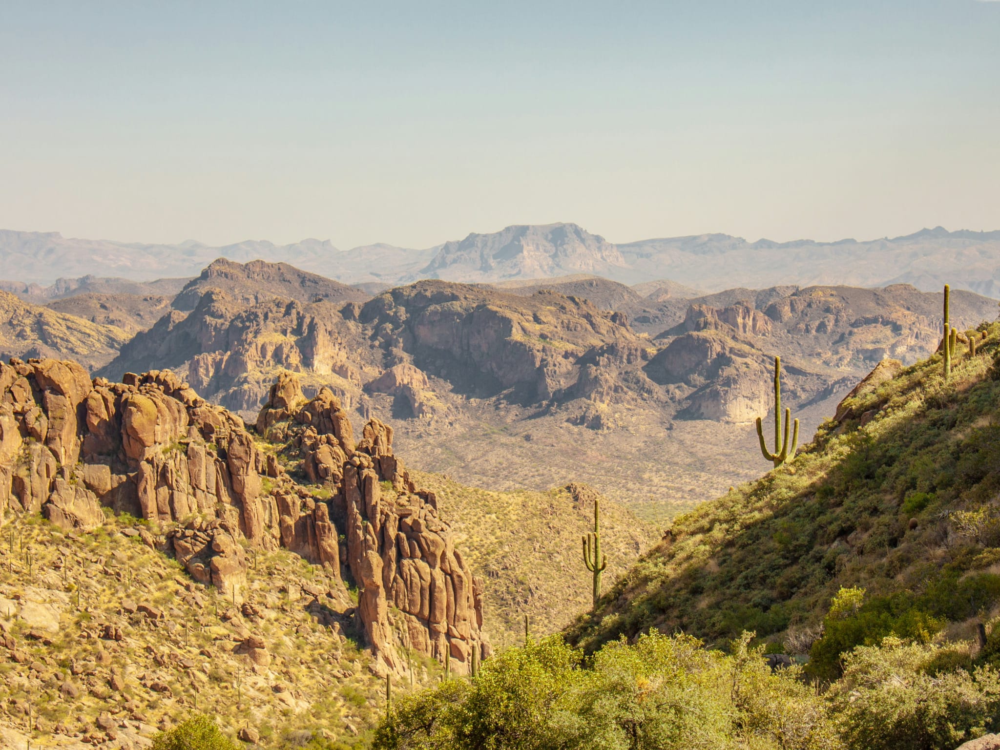 Saguaro National Park