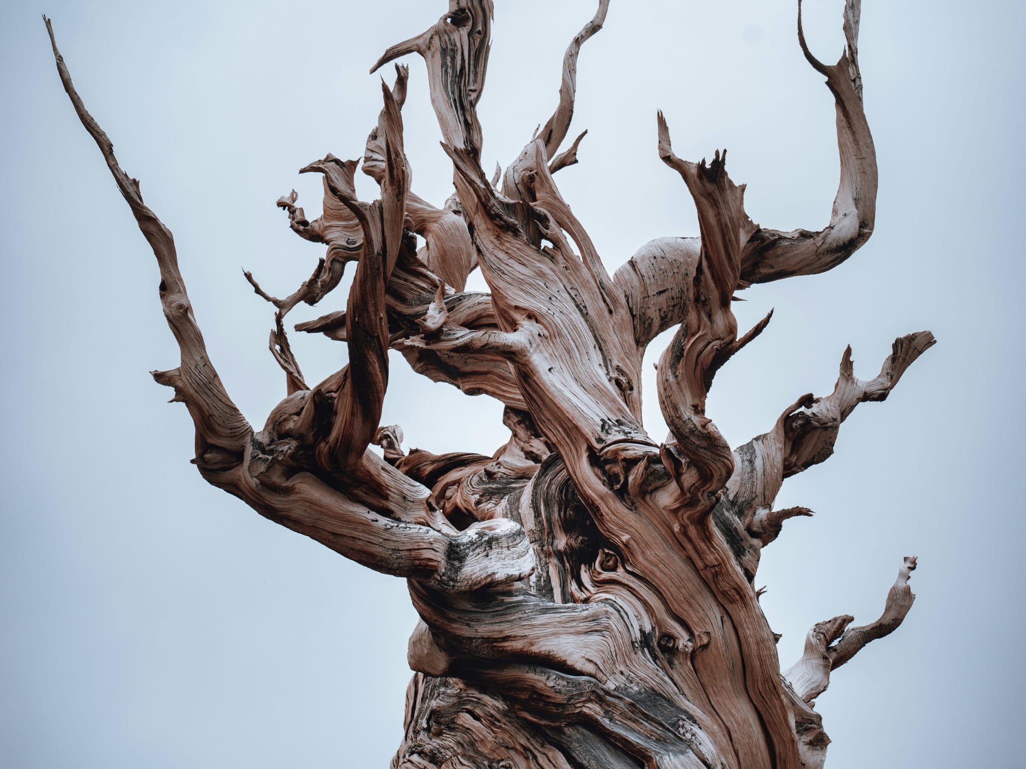 Great Basin National Park