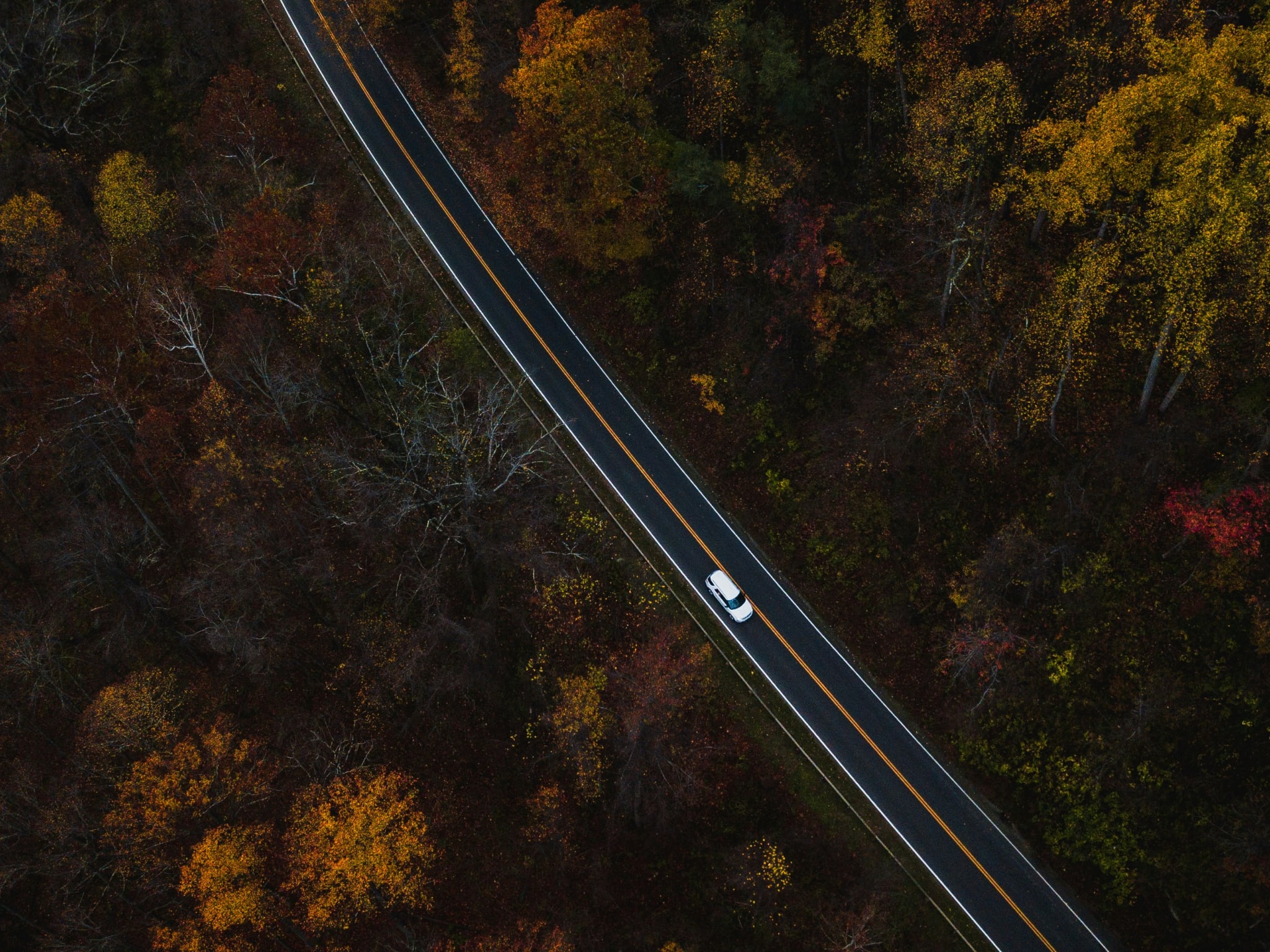 Great Smoky Mountains National Park