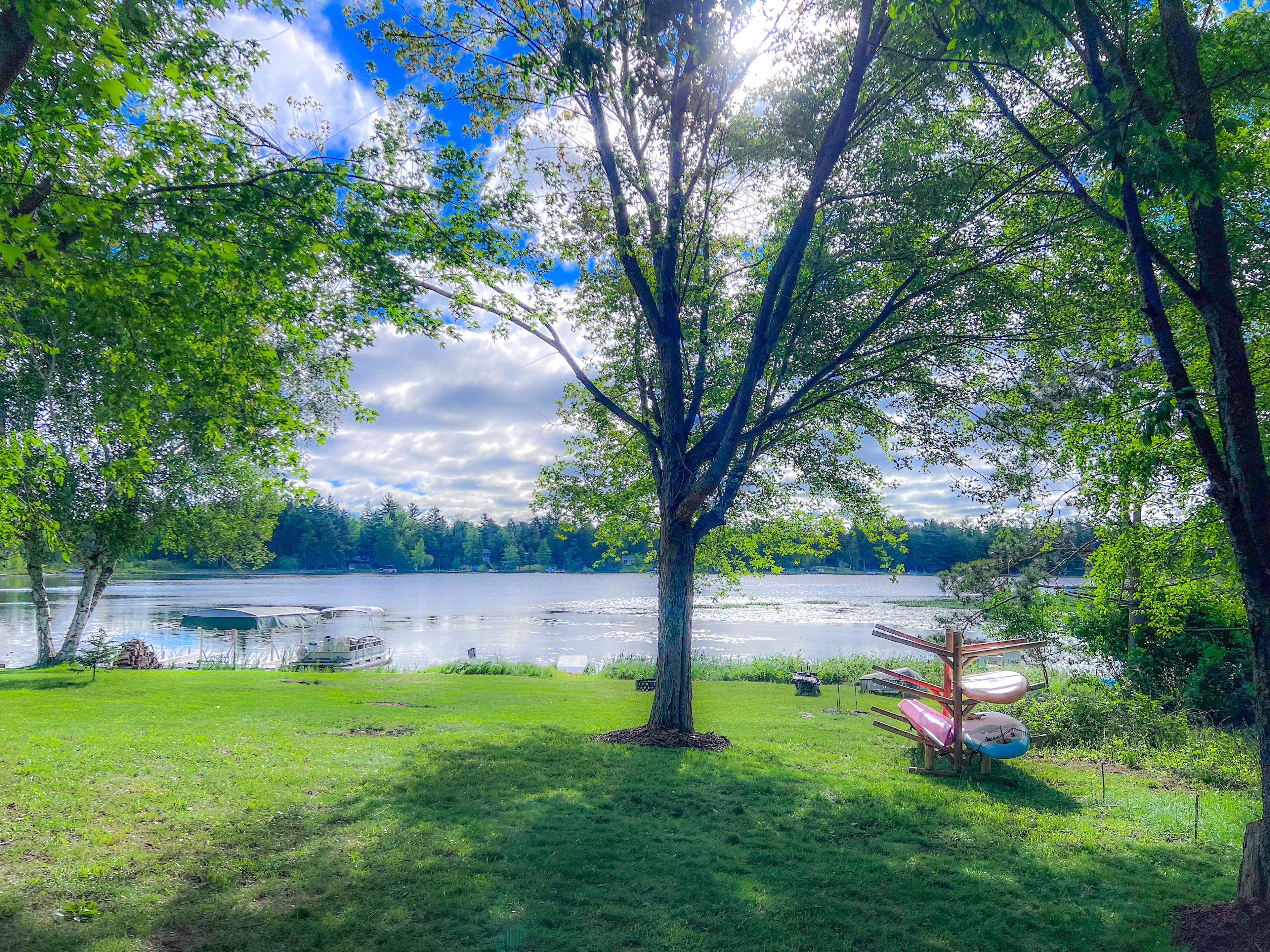 Yard with toys - small spruce tree on the left marks the property line.